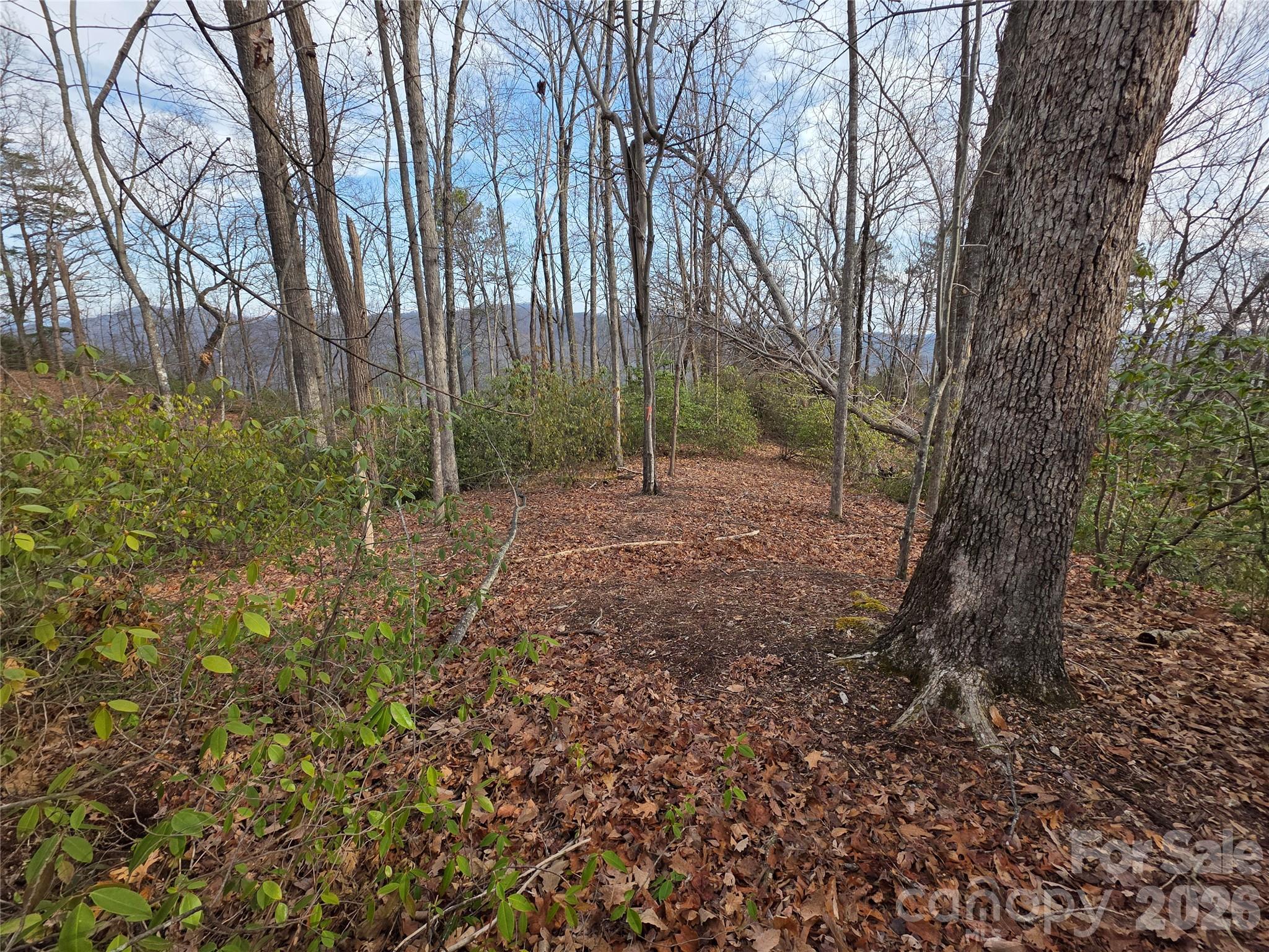 Lot 45 Ridgecrest Drive Property Photo 2