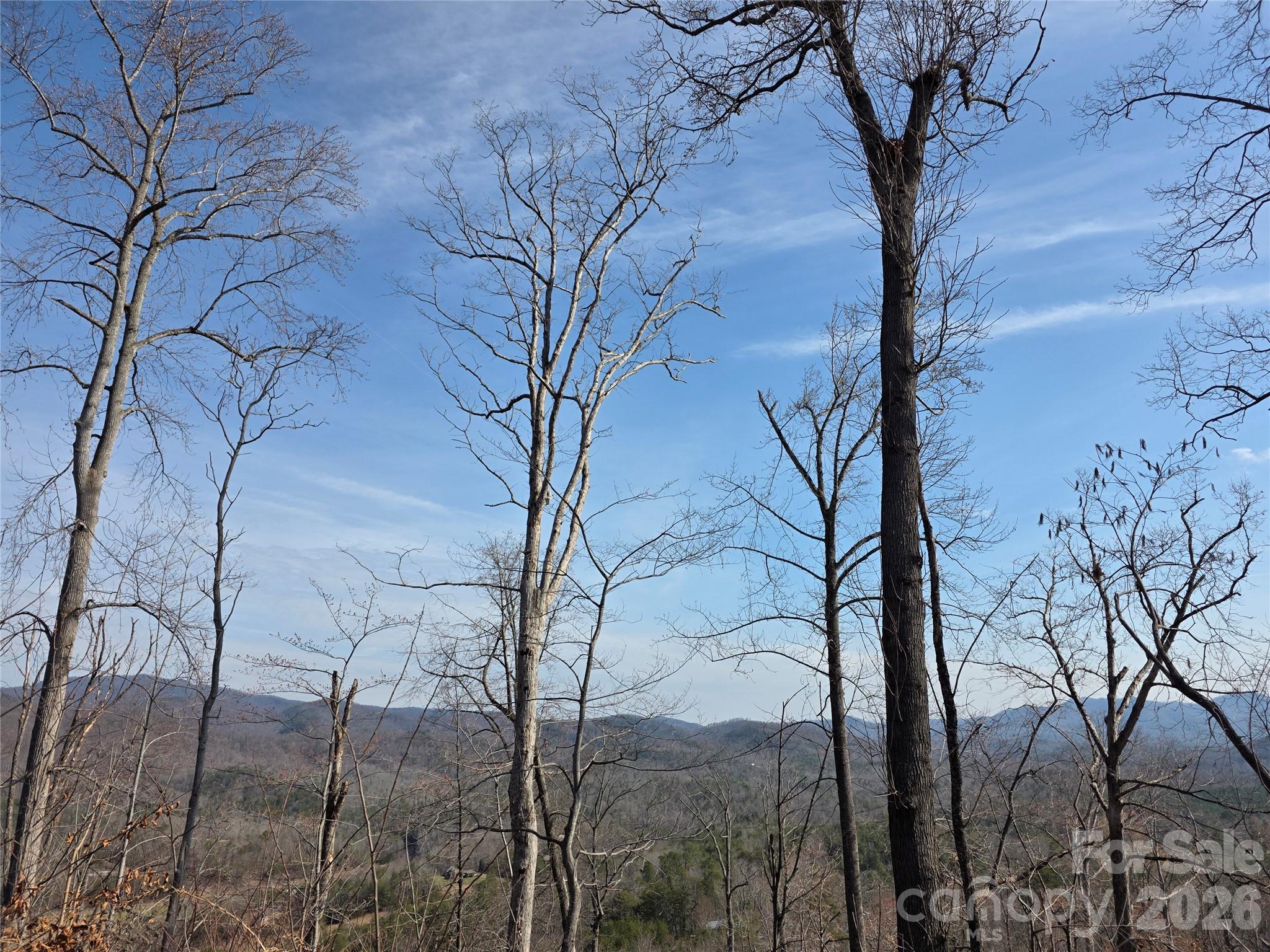 Lot 45 Ridgecrest Drive Property Photo 4