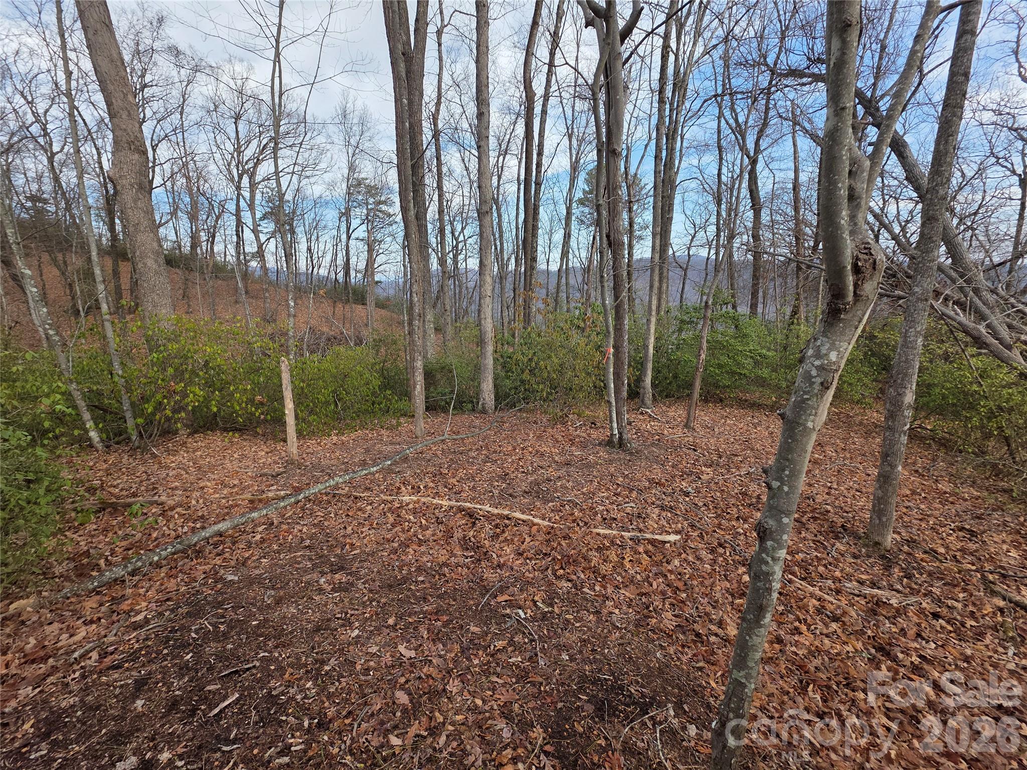 Lot 45 Ridgecrest Drive Property Photo 5