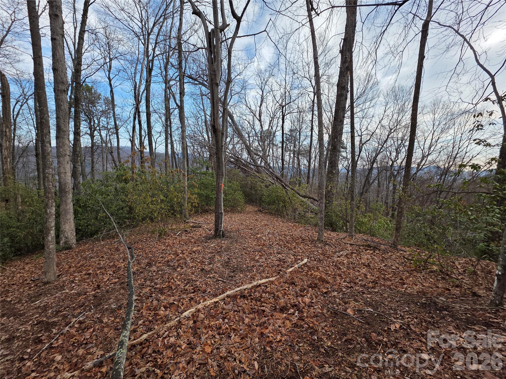 Lot 45 Ridgecrest Drive Property Photo 9