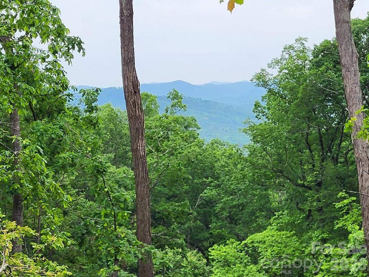 Lot 45 Ridgecrest Drive Property Photo 10