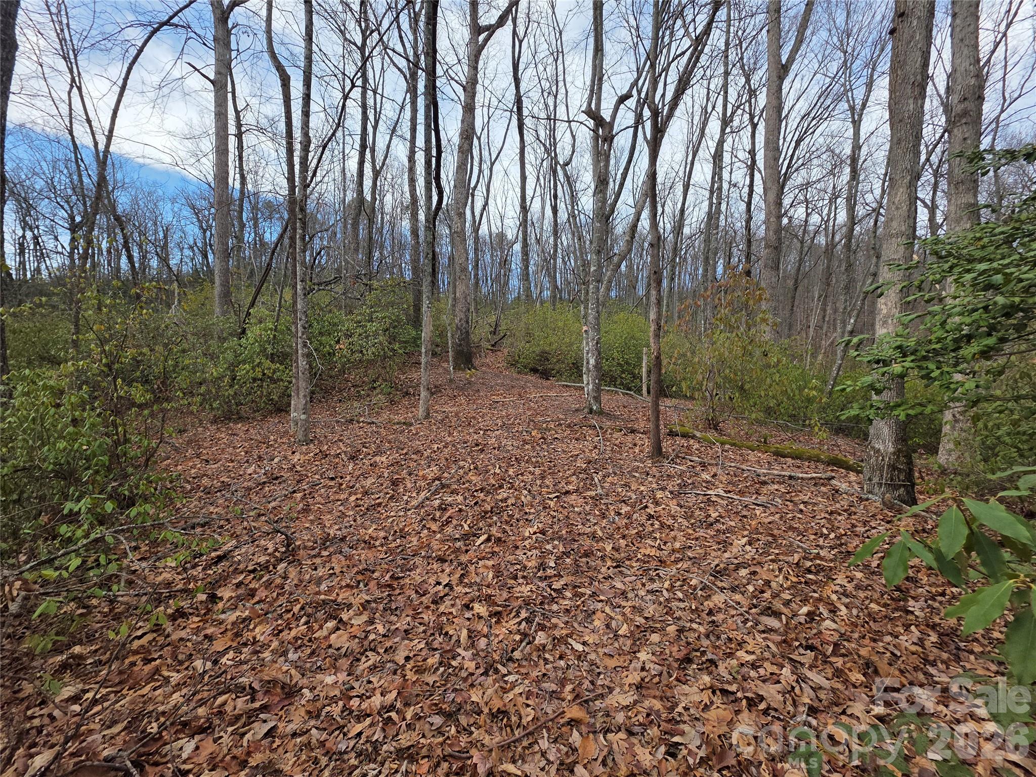 Lot 45 Ridgecrest Drive Property Photo 15