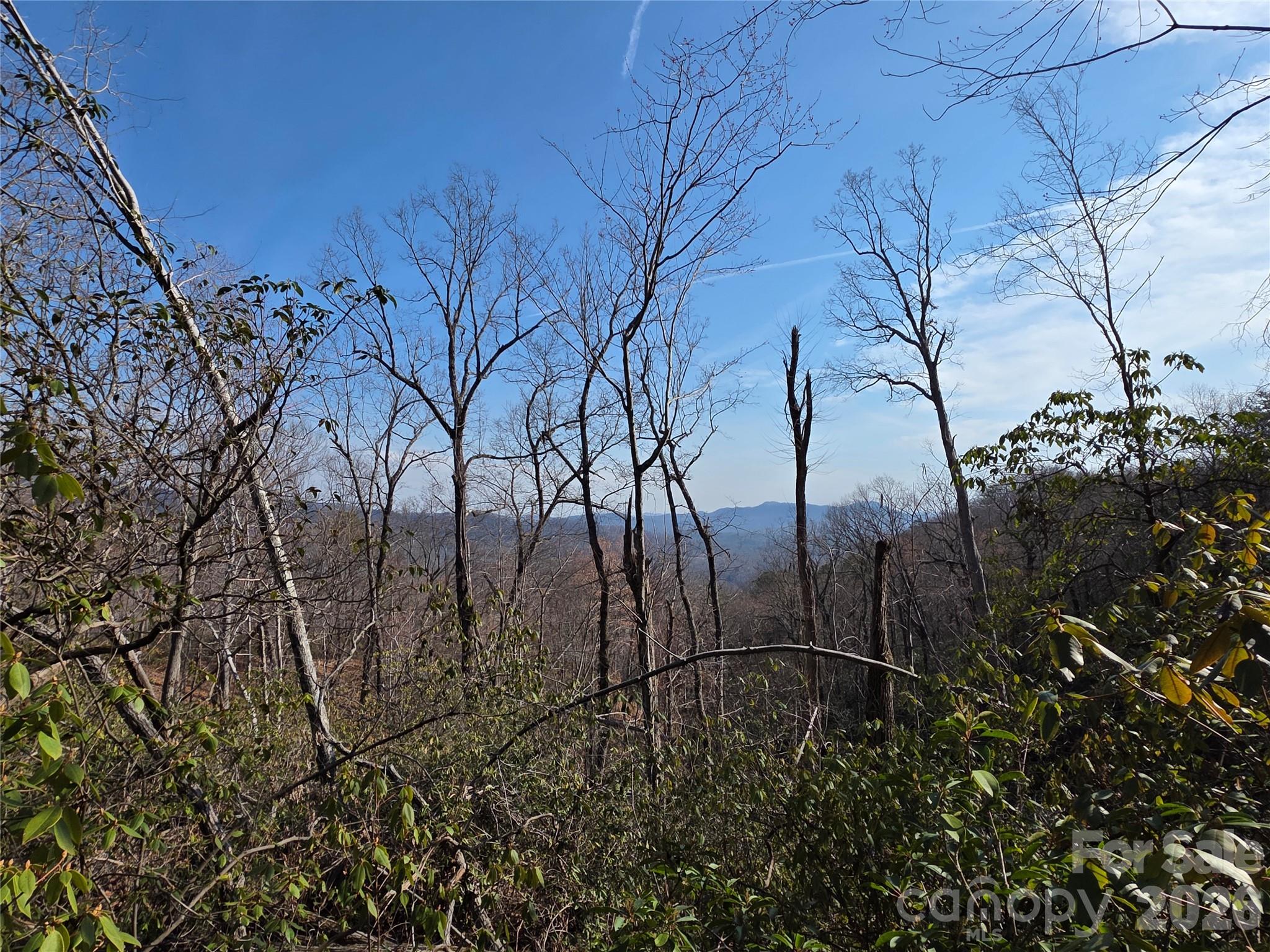 Lot 45 Ridgecrest Drive Property Photo 17