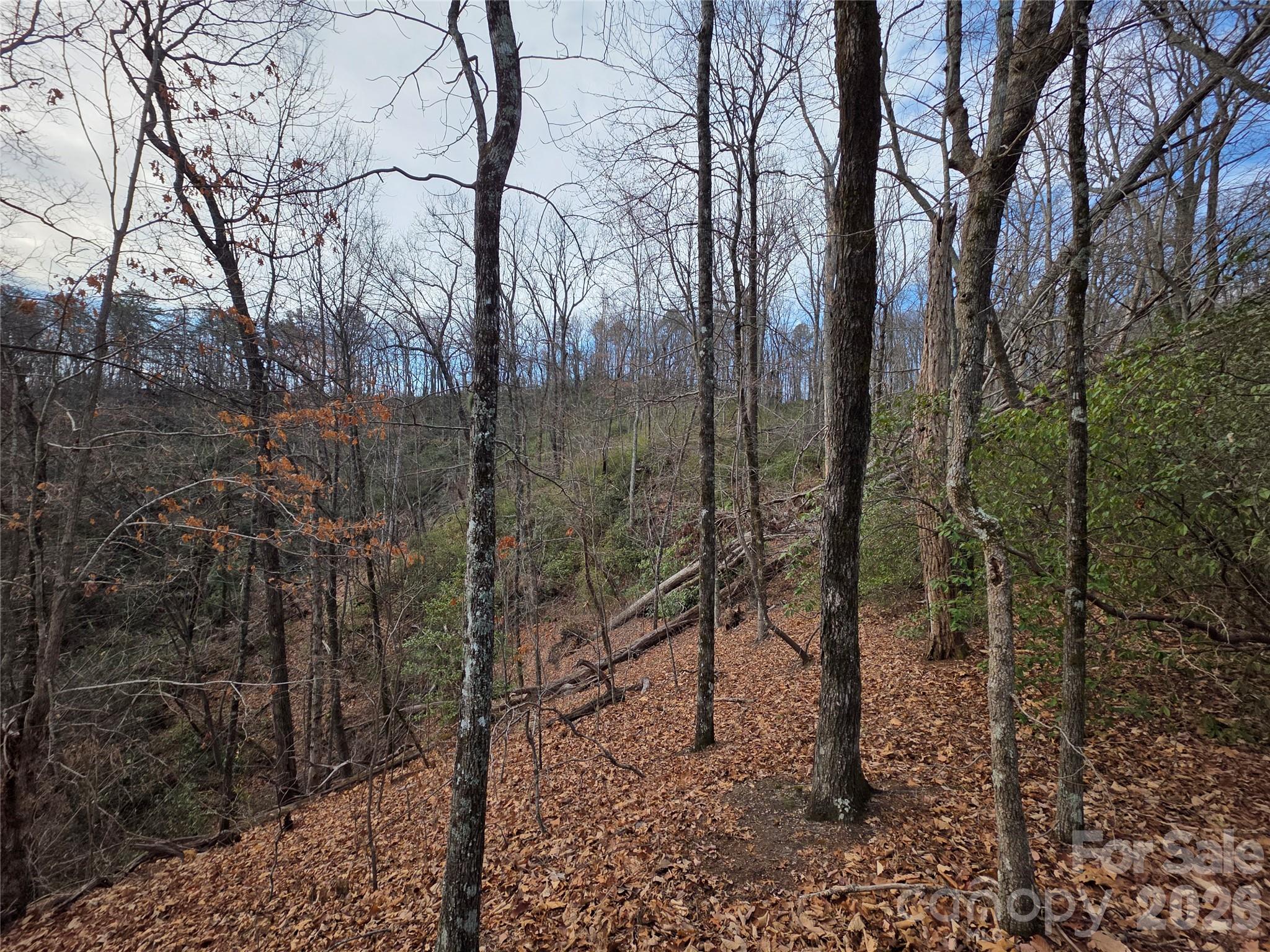 Lot 45 Ridgecrest Drive Property Photo 18