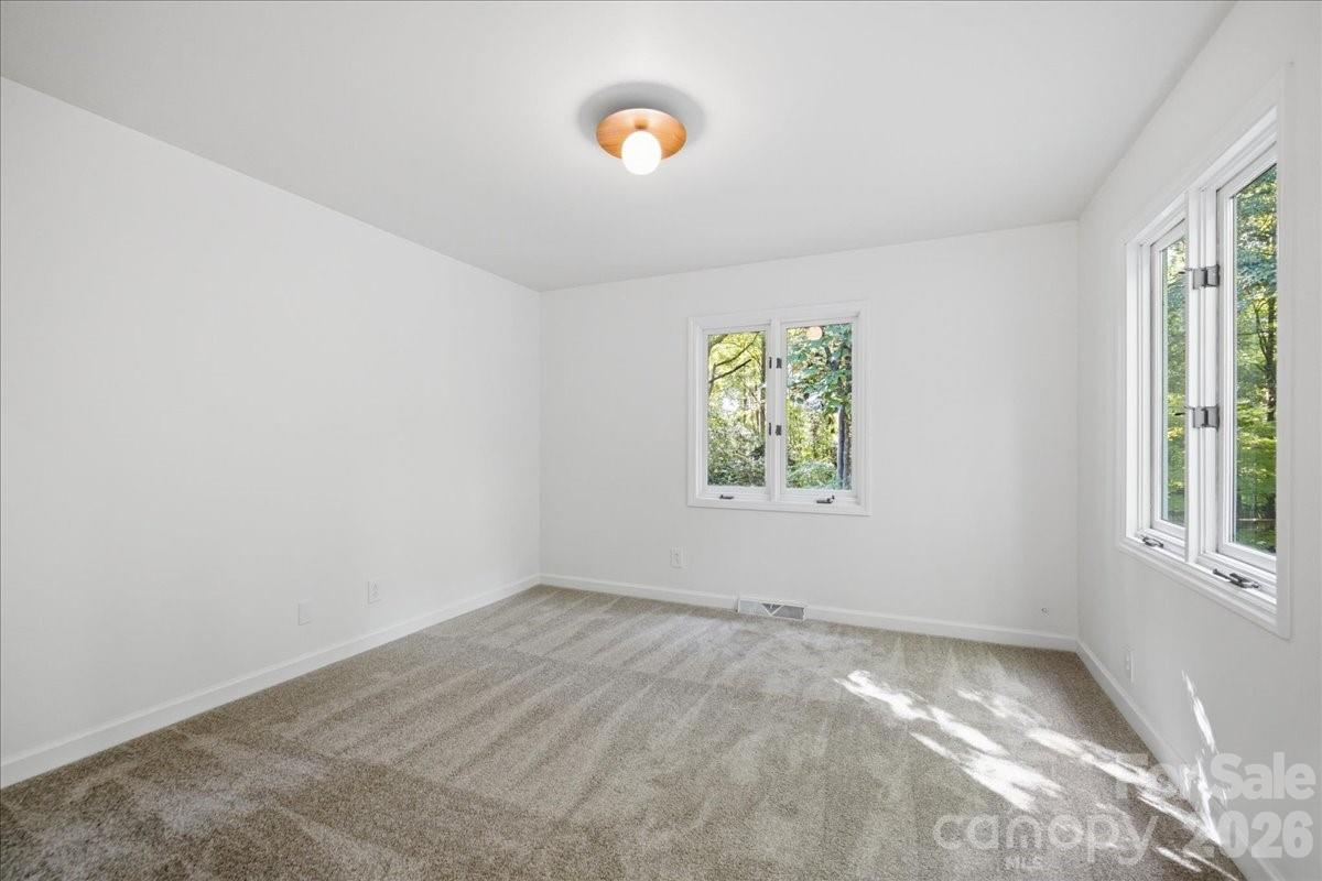 1107 Spring Fall Court Property Photo 39