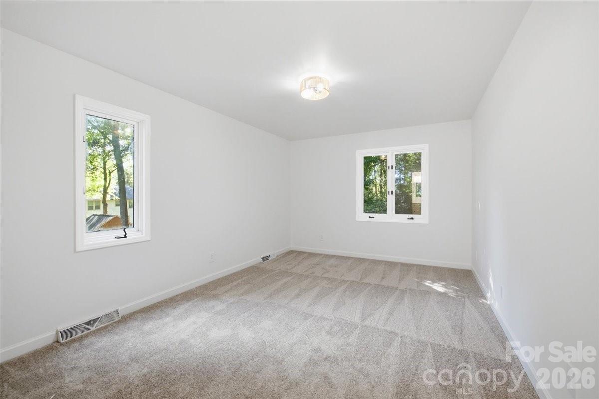 1107 Spring Fall Court Property Photo 41