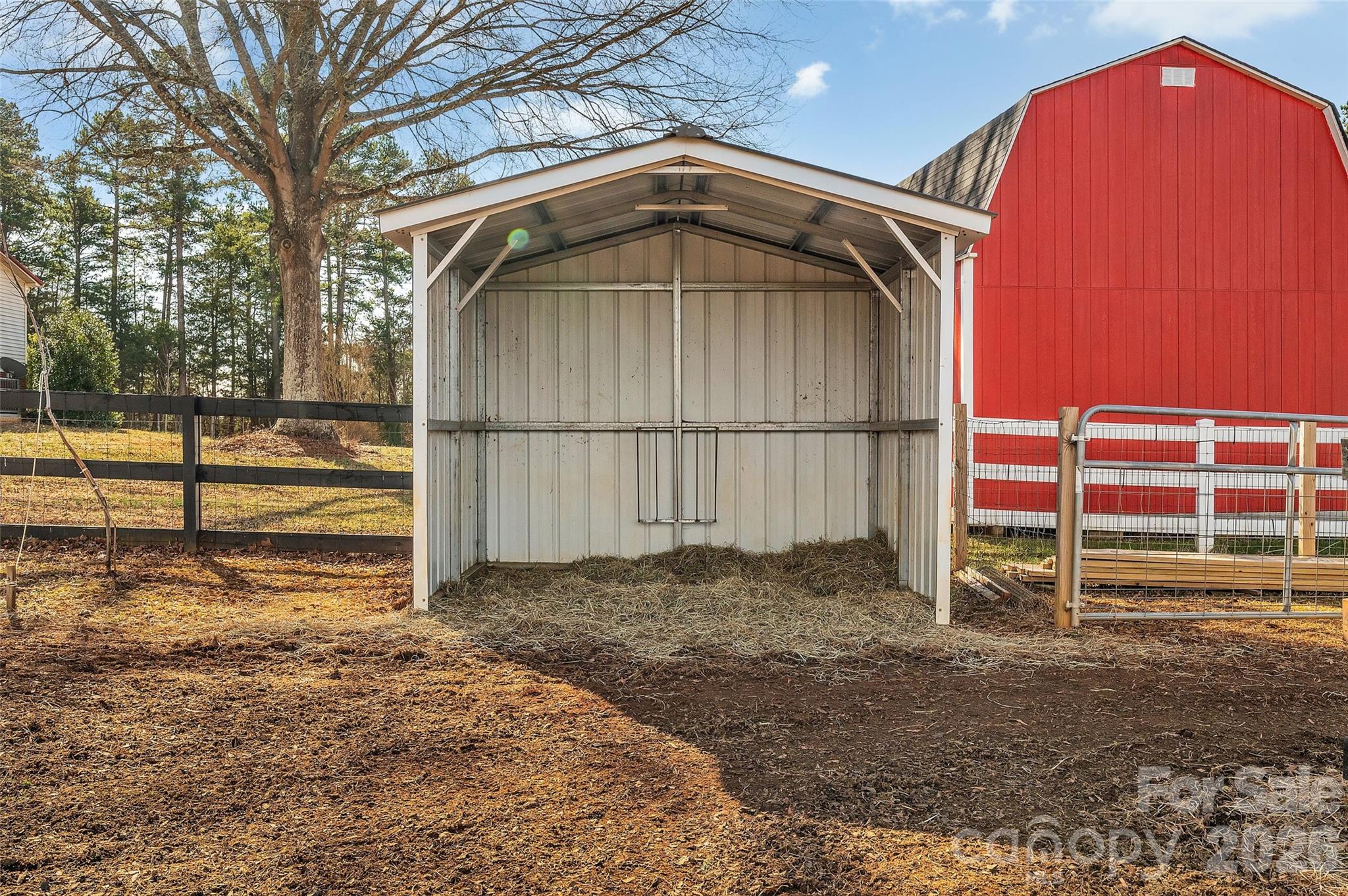 3433 Grey Road Property Photo 25