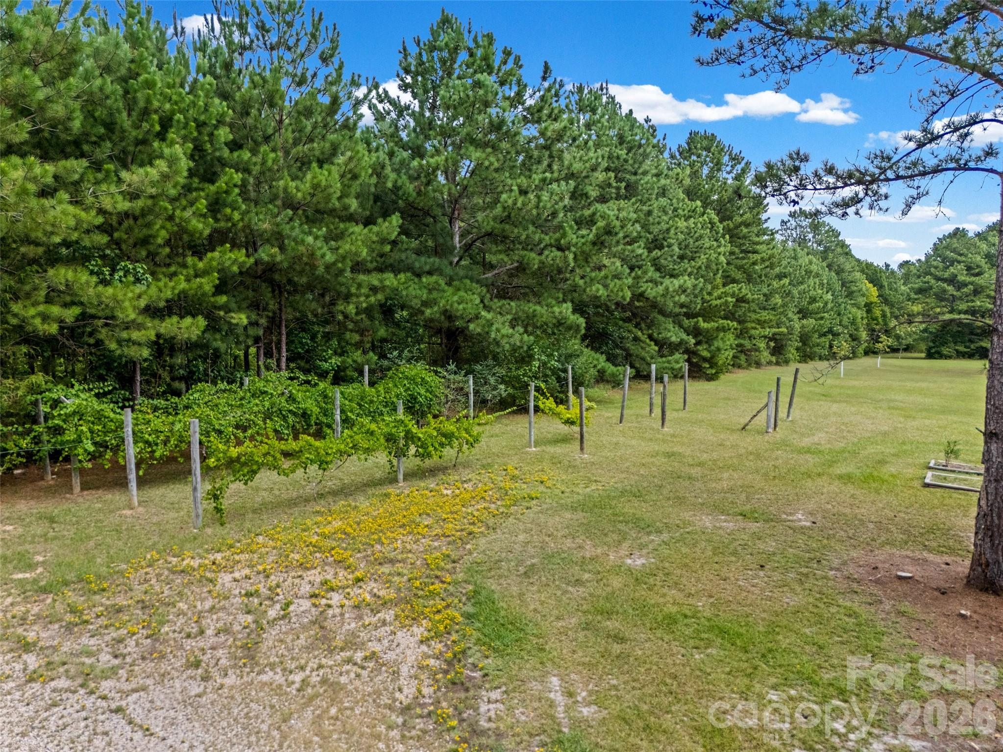 853 Nancys Place Property Photo 29