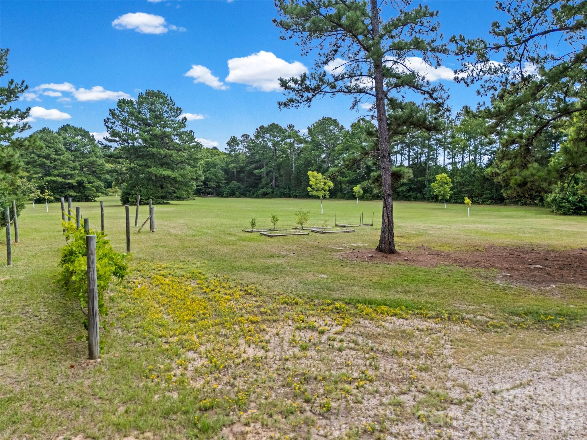 853 Nancys Place Property Photo 30