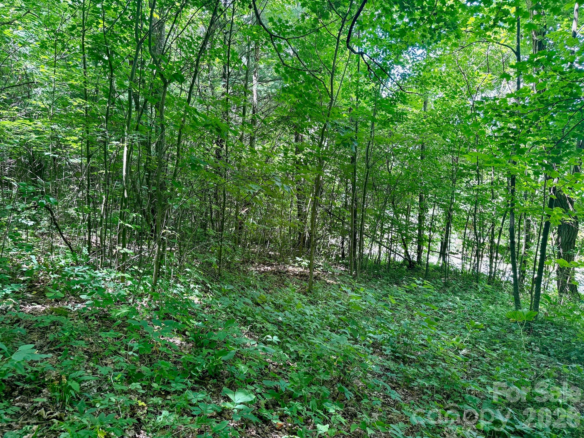 35 Flying Hawk Way Property Photo 11