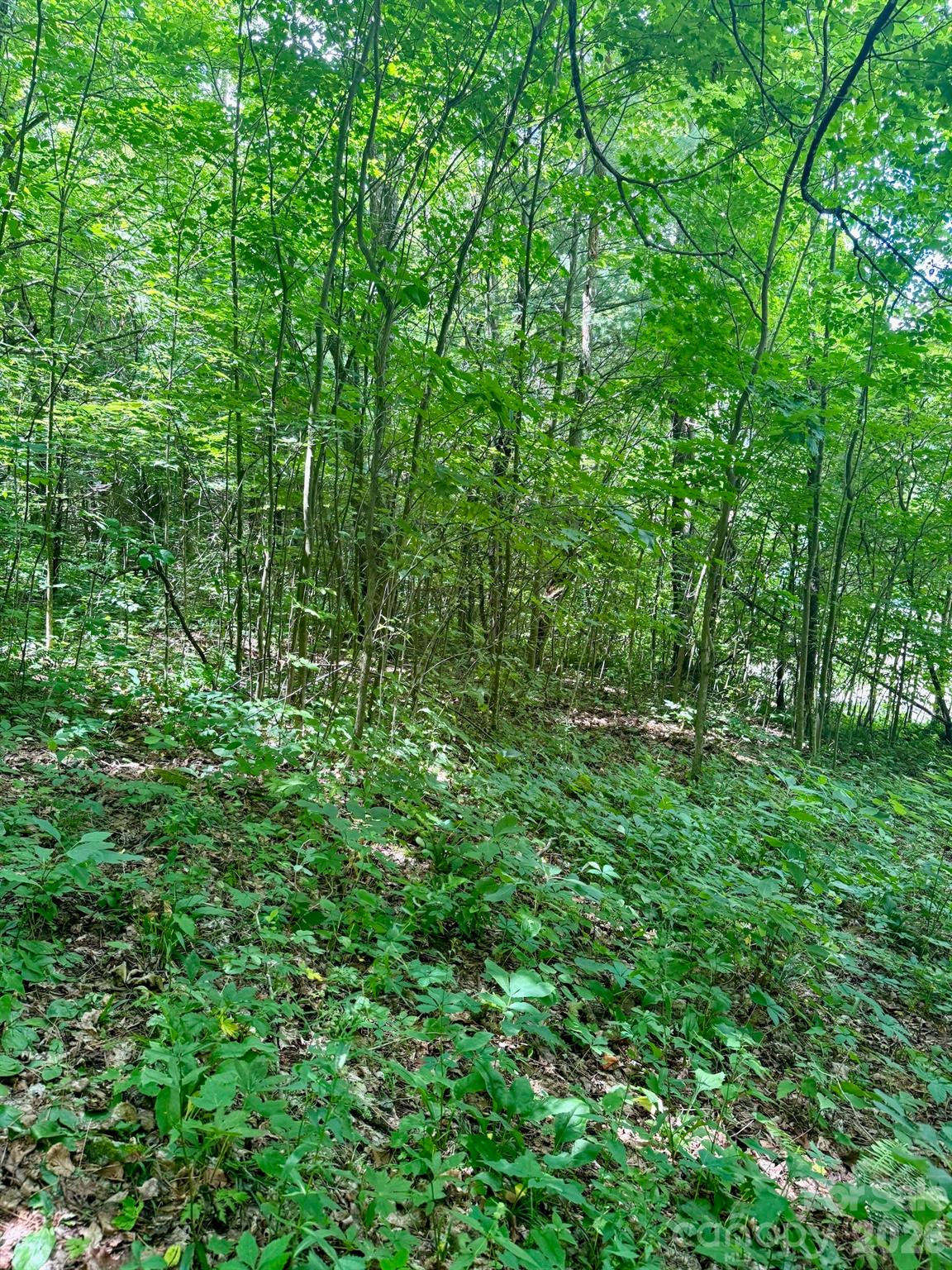 35 Flying Hawk Way Property Photo 12