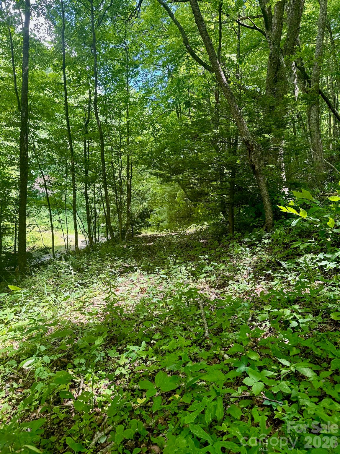 35 Flying Hawk Way Property Photo 13
