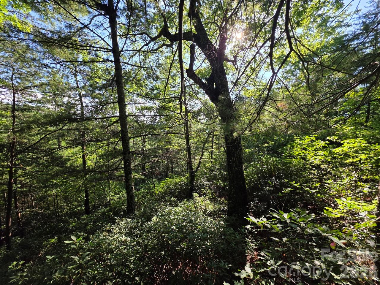 Lot 73 Fawn Lane Property Photo 6