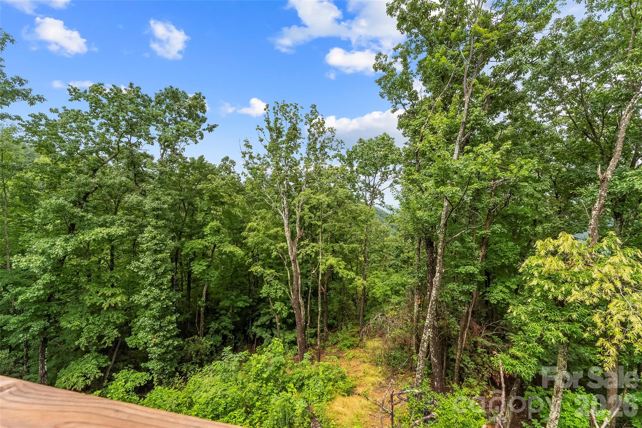 266 Potomac Falls Drive Property Photo 40