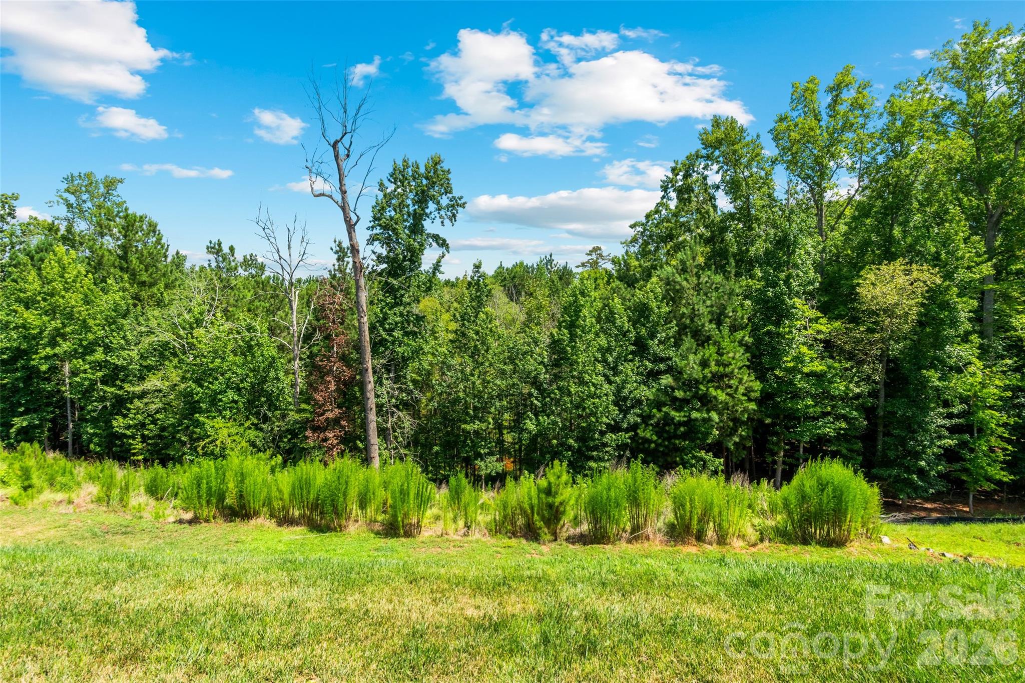 14444 Maritime Drive Property Photo 40