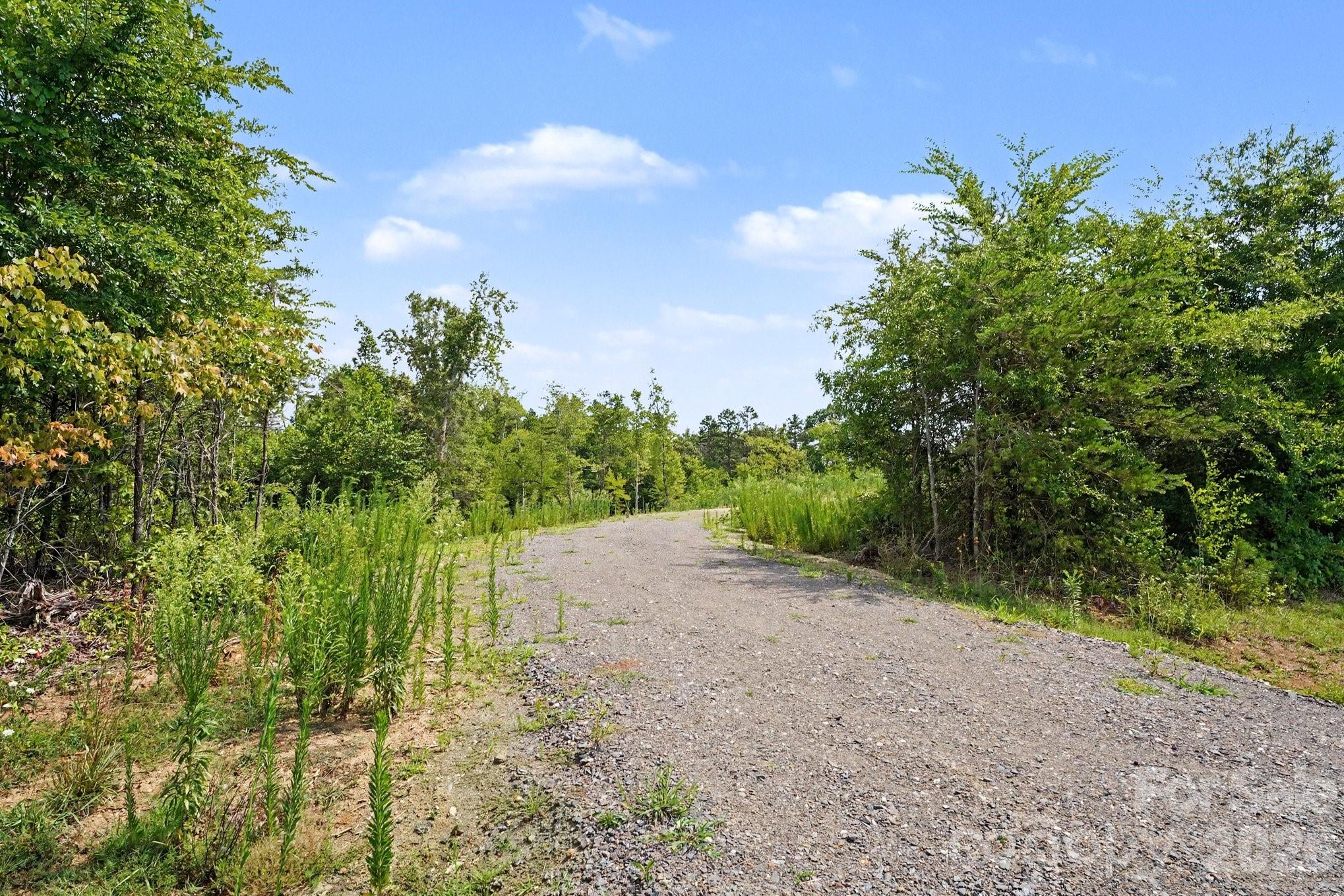 01 Pineville Road Property Photo 3