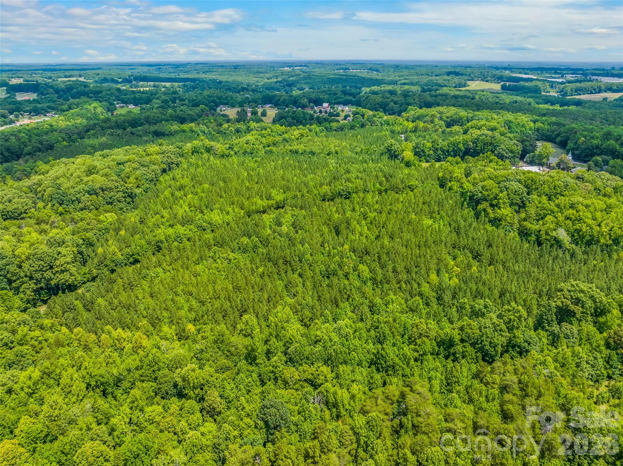 13.3 +/- Ac Godbey Road Property Photo 5