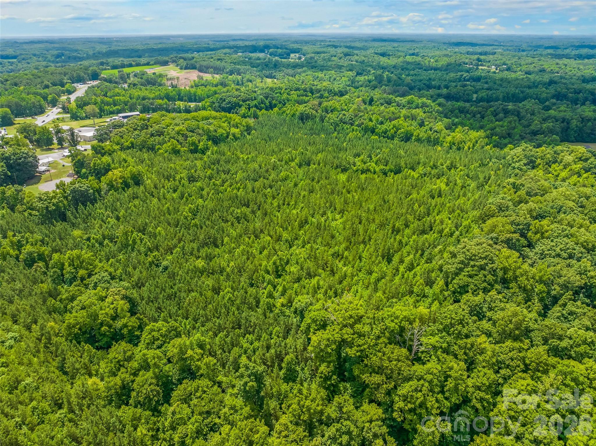 13.3 +/- Ac Godbey Road Property Photo 9
