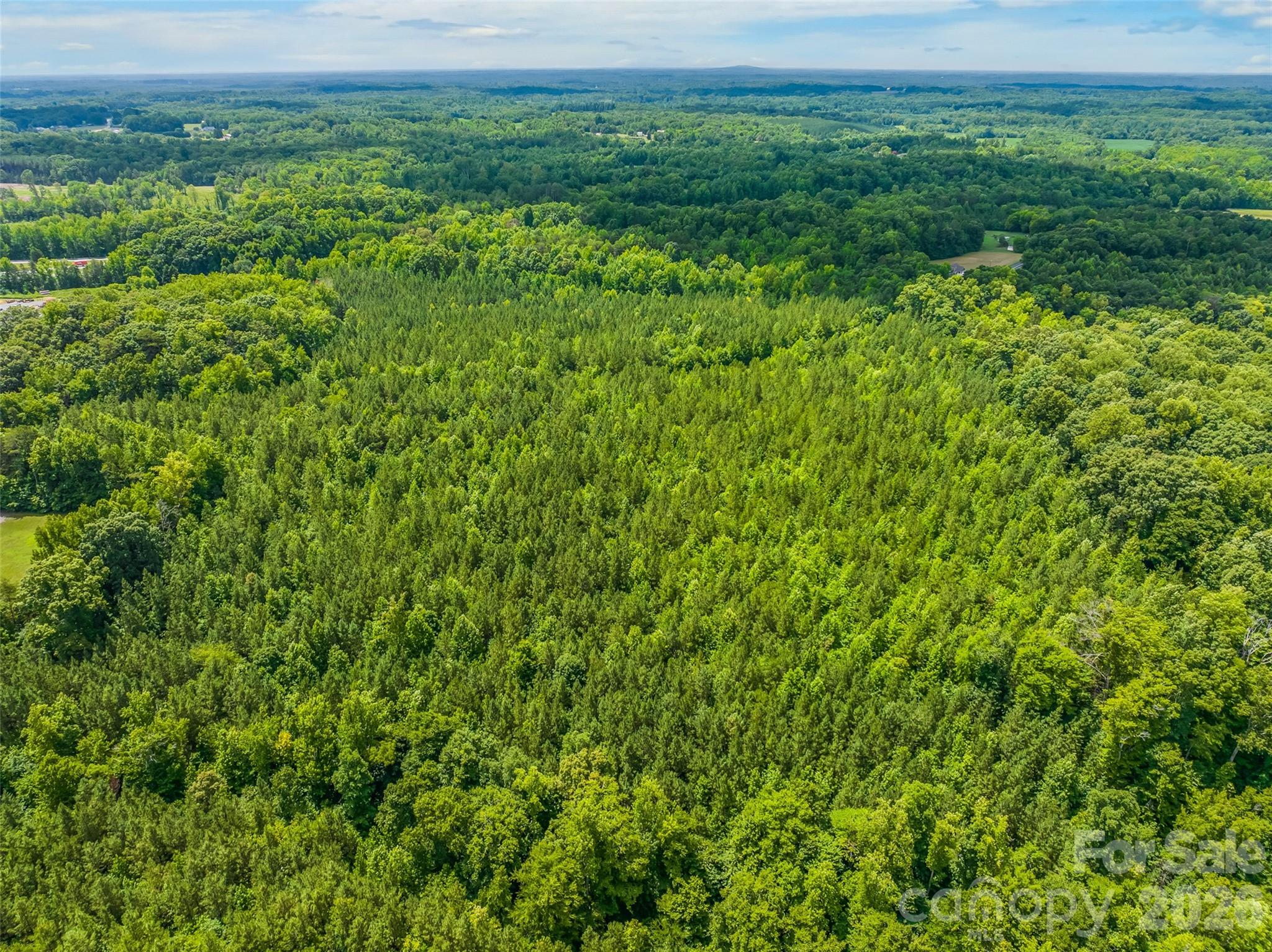 13.3 +/- Ac Godbey Road Property Photo 10