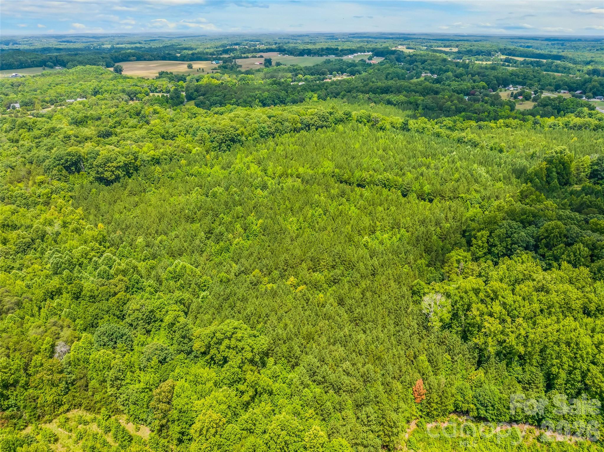 13.3 +/- Ac Godbey Road Property Photo 15