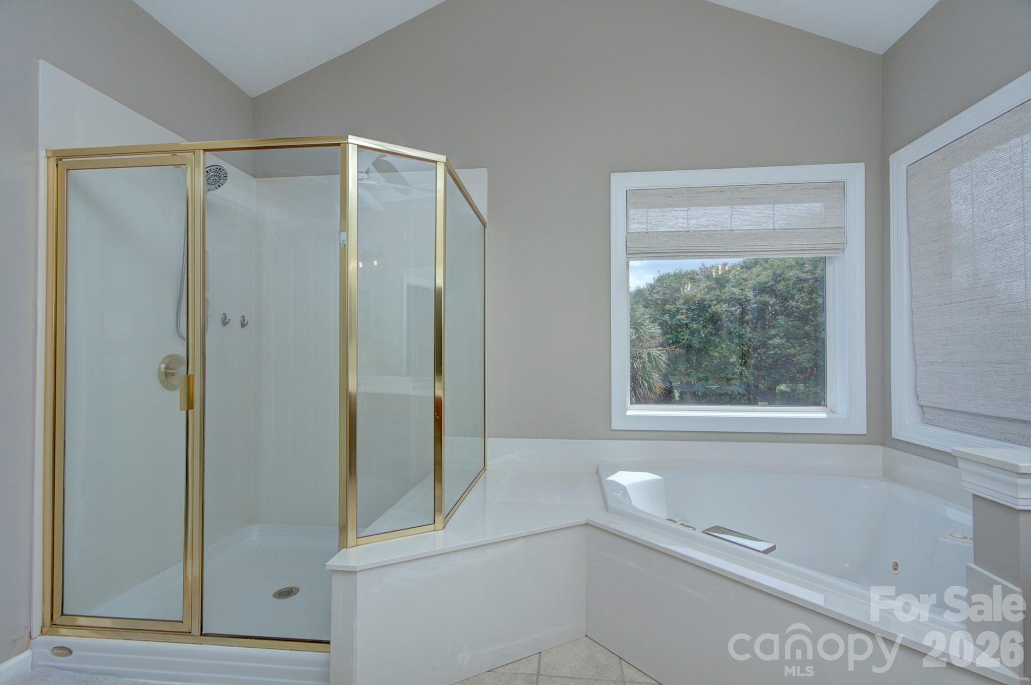 7005 Shadow Rock Court Property Photo 30