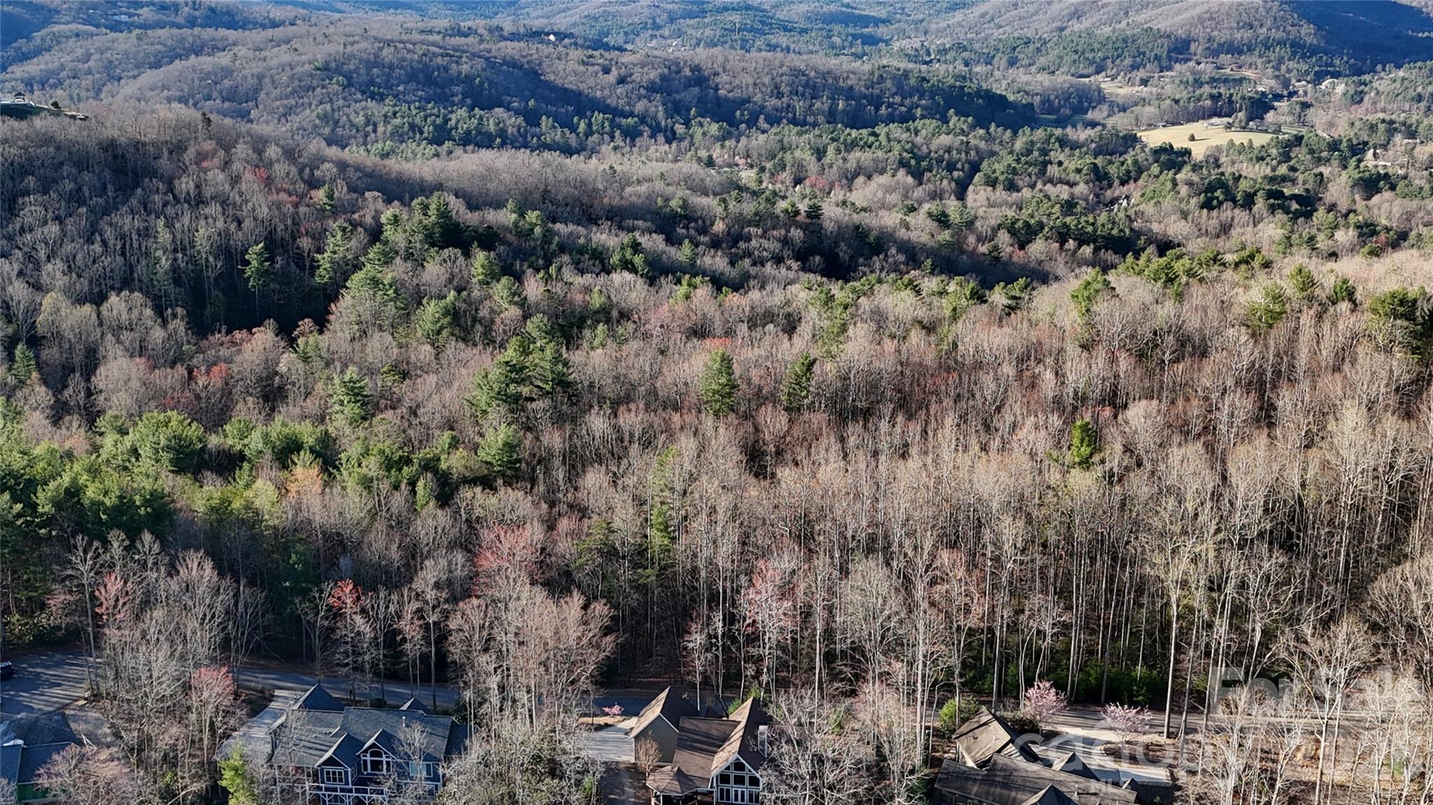 Lot 10 Tomahawk Trail Property Photo 2