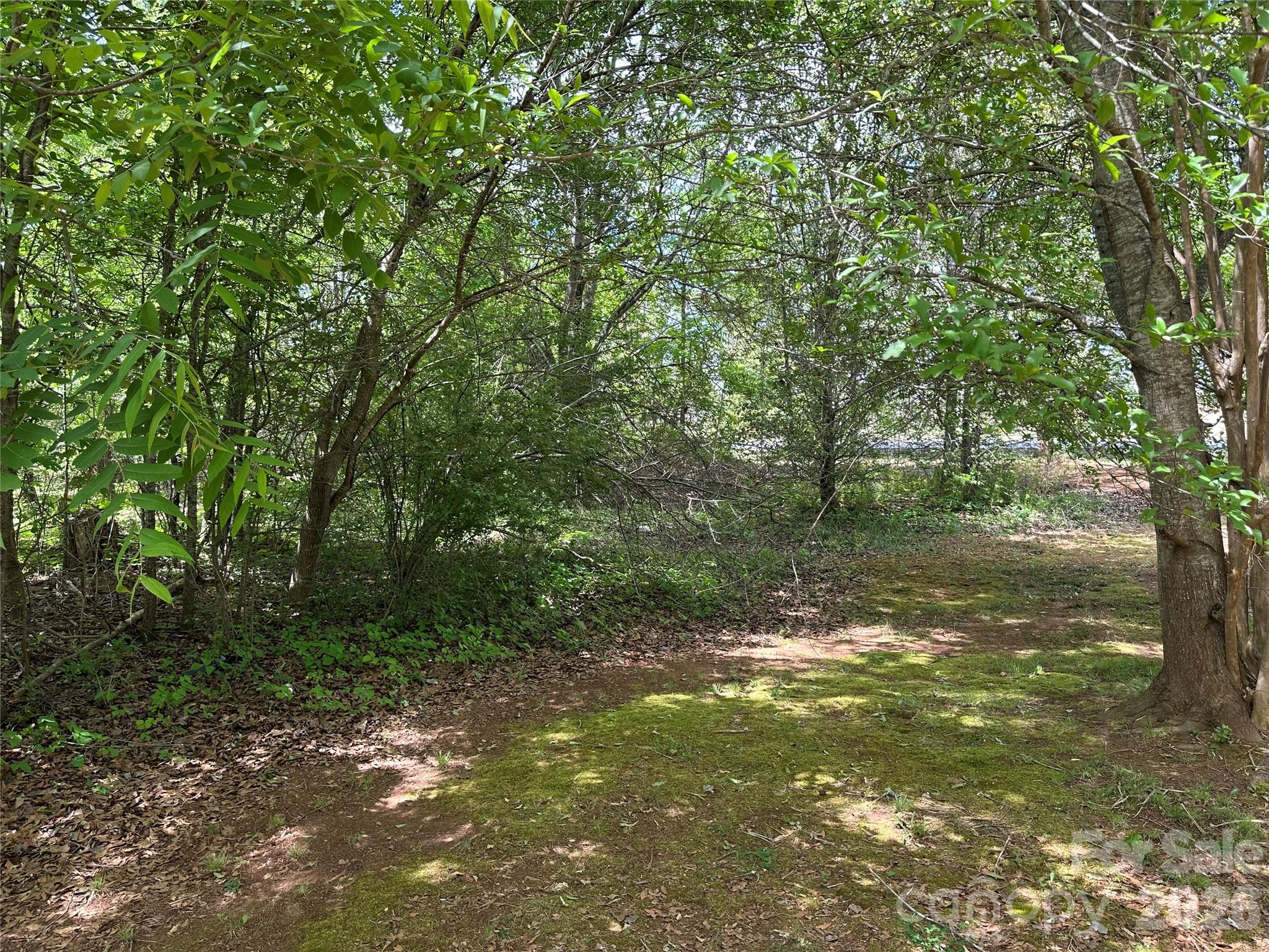 572 Ledbetter Road Property Photo 19