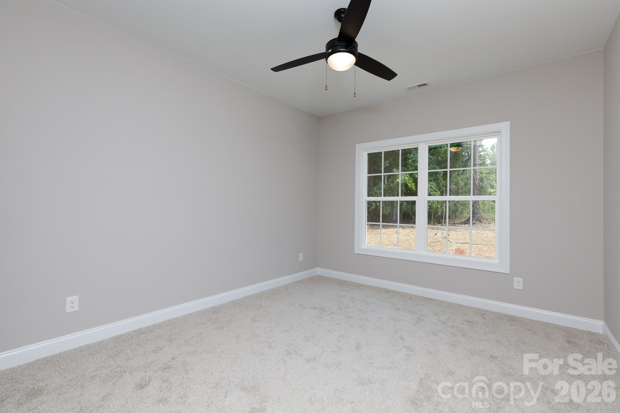 2902 Peden Bridge Road Property Photo 28