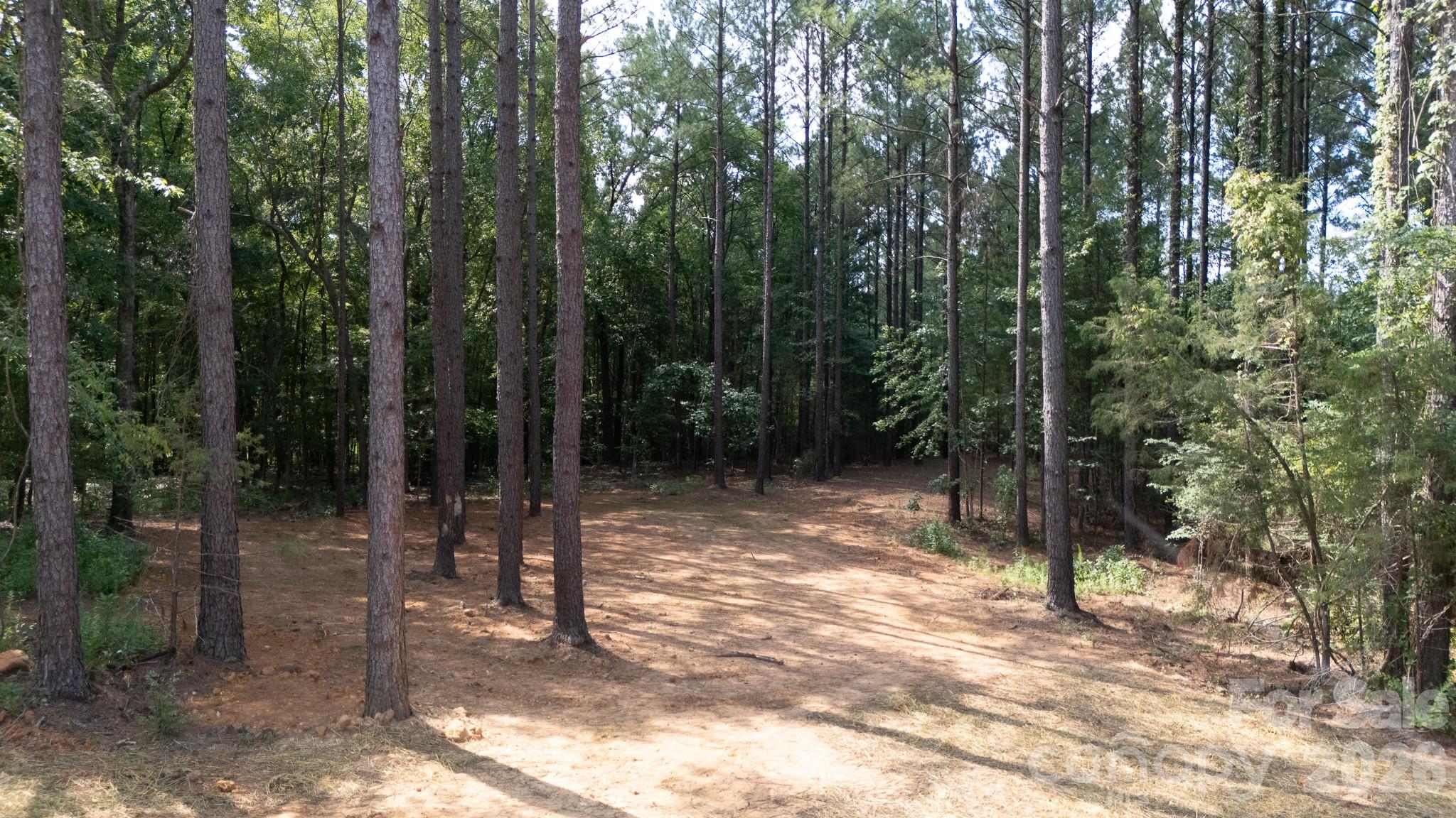 2902 Peden Bridge Road Property Photo 44