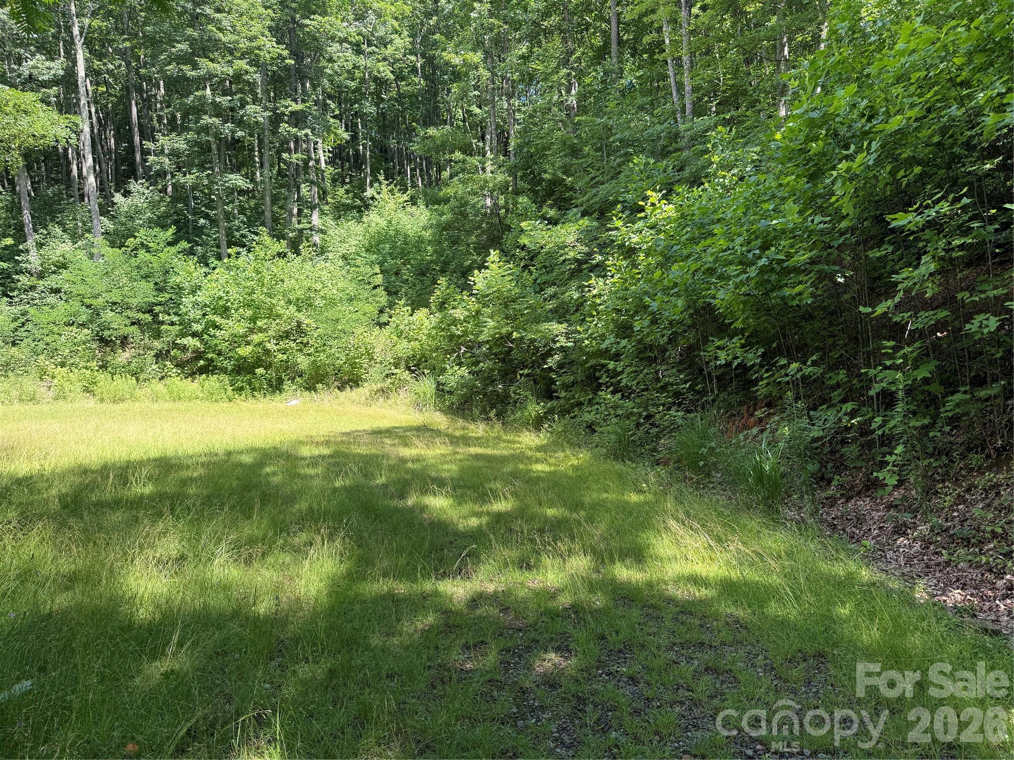 999 Hawks Nest Drive 86 Property Photo 3