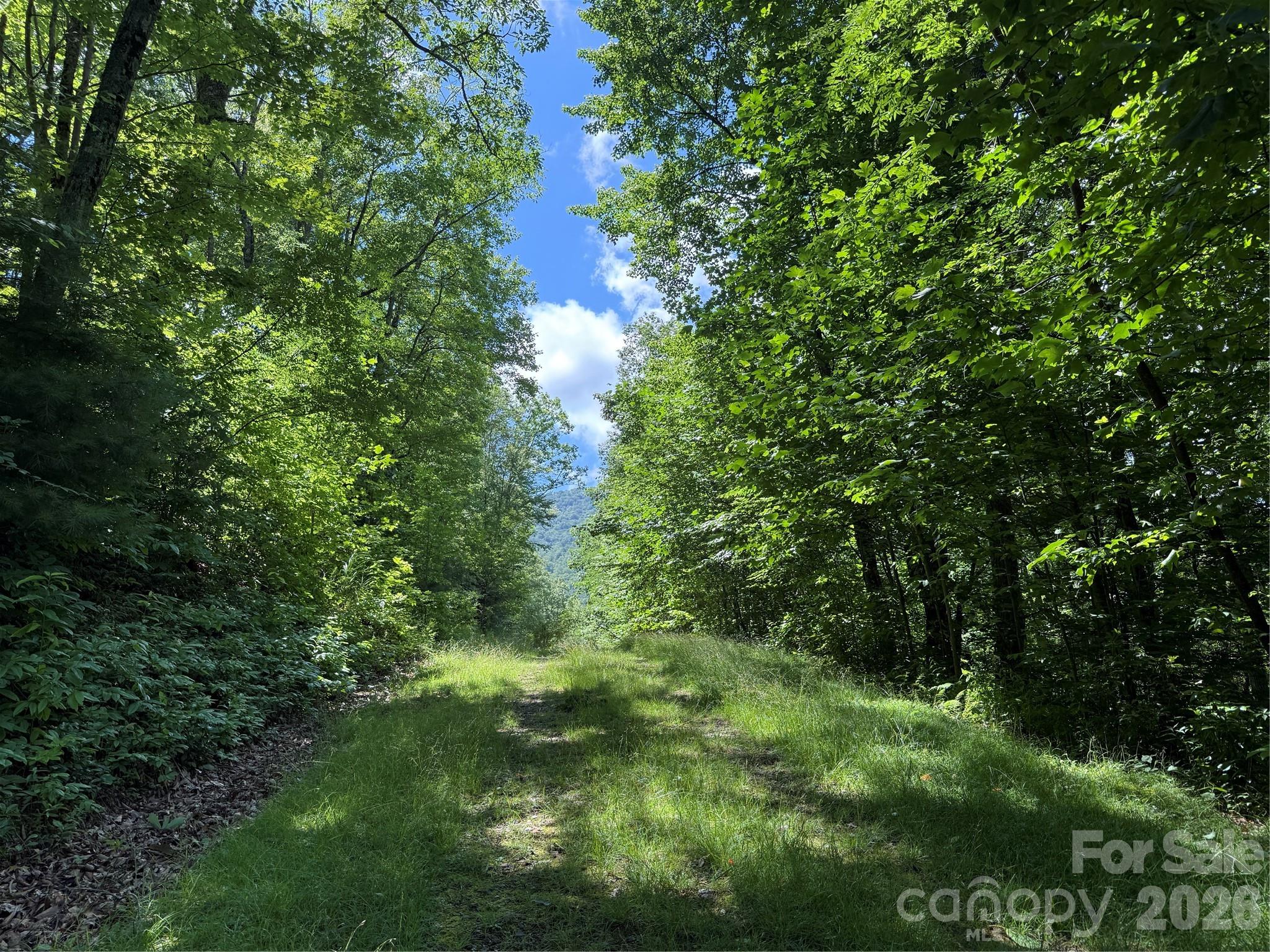 999 Hawks Nest Drive 86 Property Photo 6