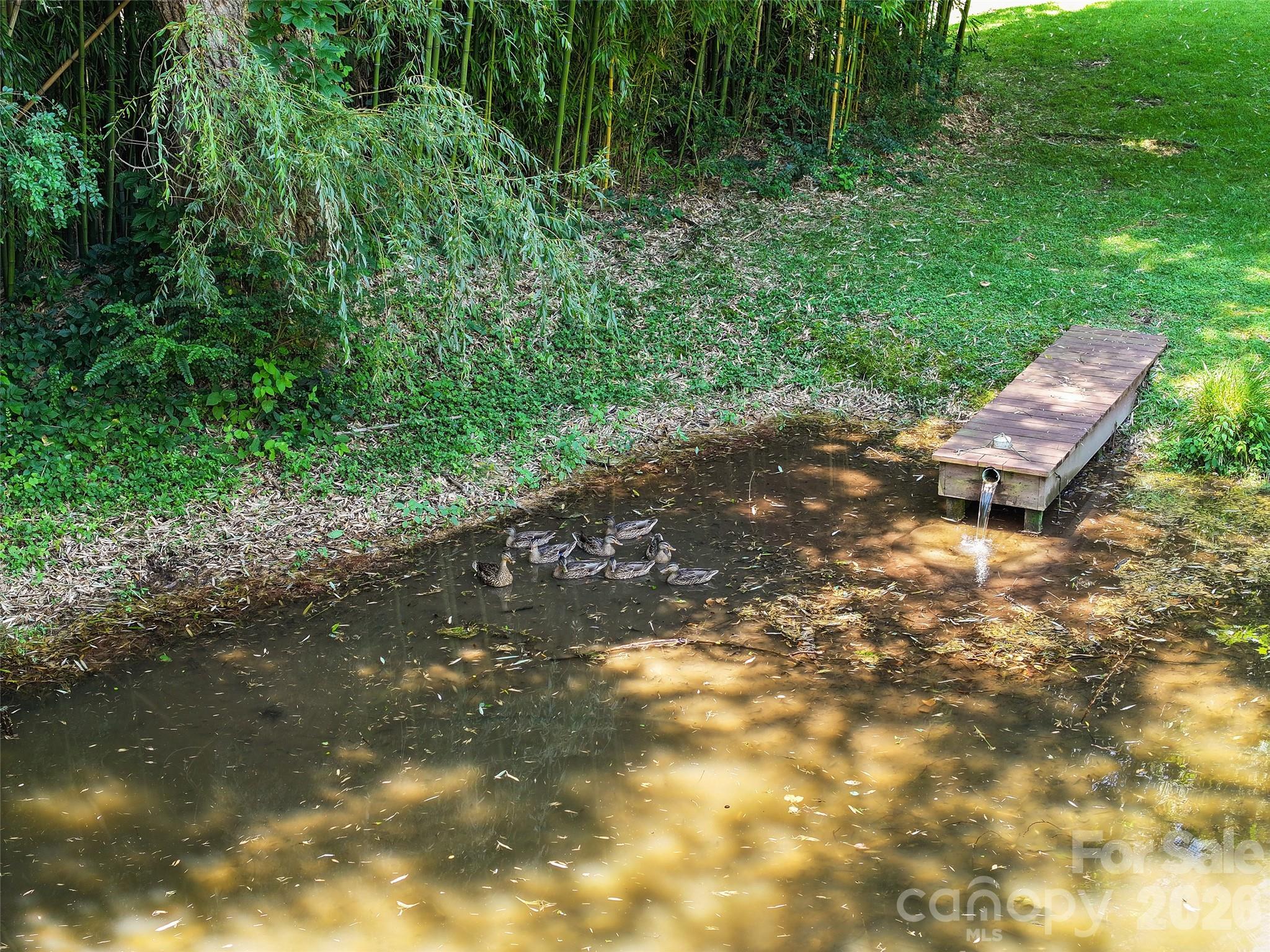 36 Meadows Lane Property Photo 17