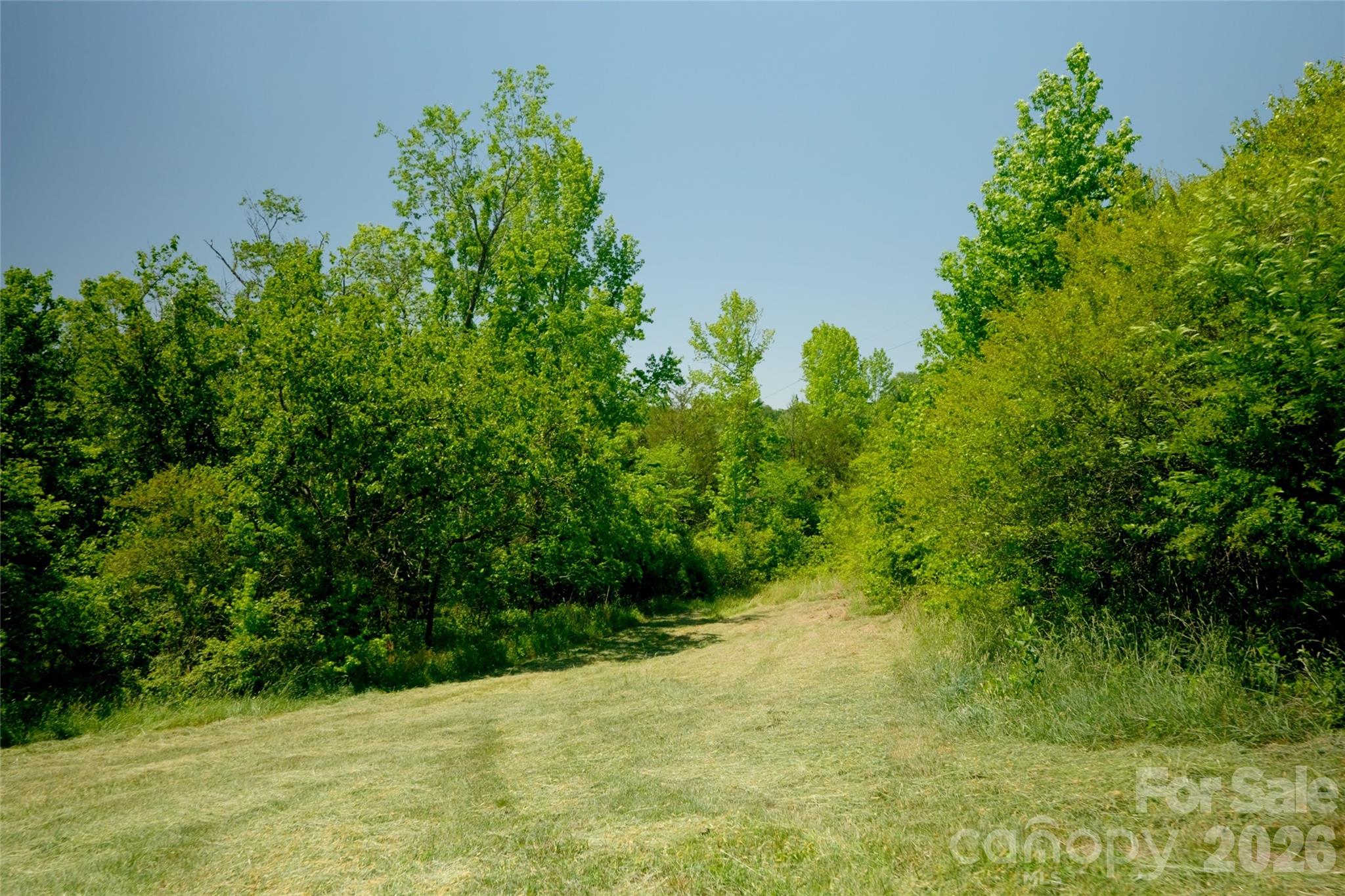 3 Morrison Road 3 Property Photo 4
