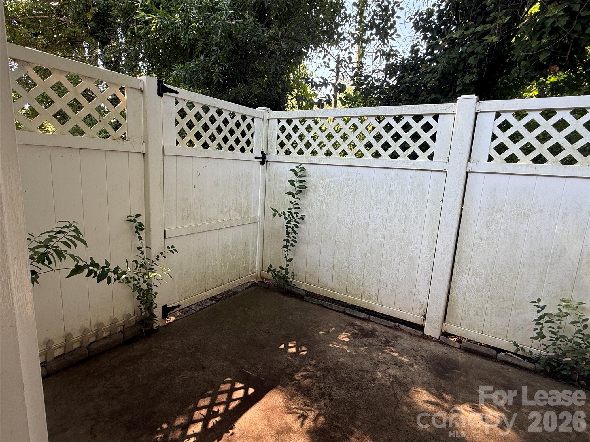 7033 Somerset Springs Drive Property Photo 6