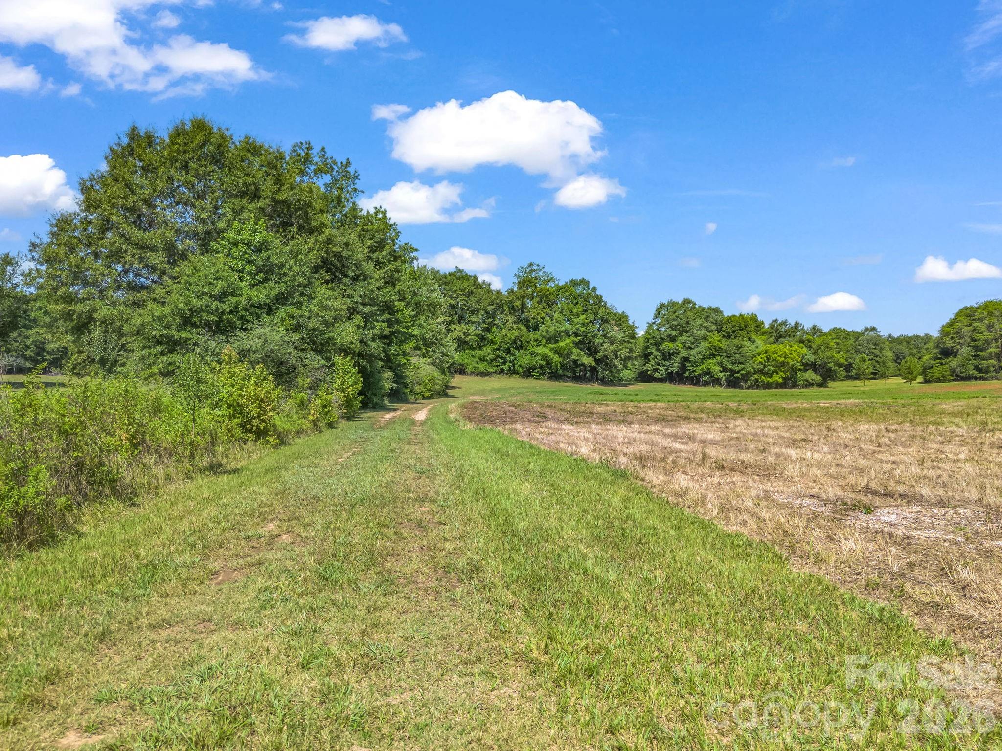 2854 Prospect Church Road Property Photo 17