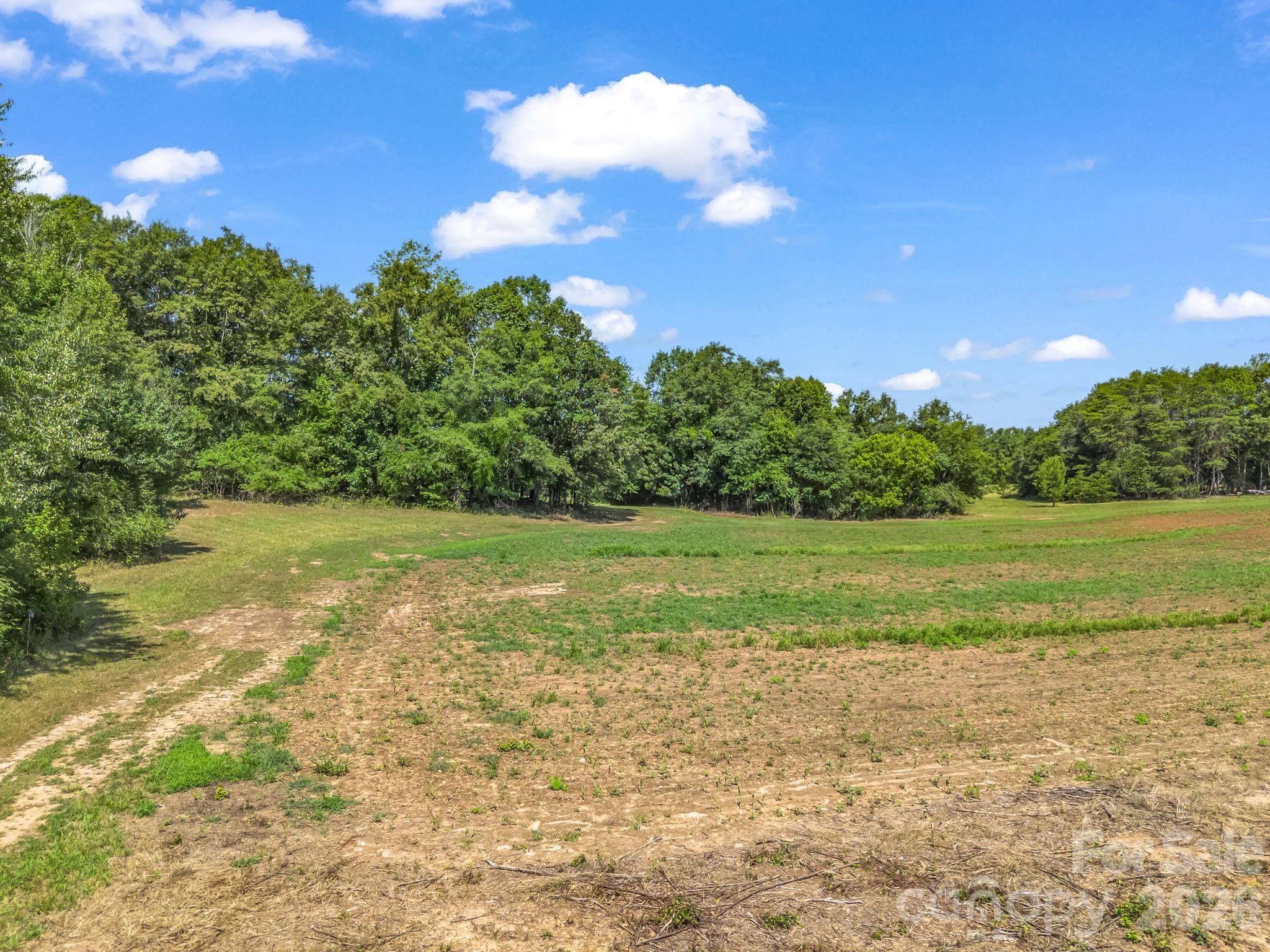 2854 Prospect Church Road Property Photo 18
