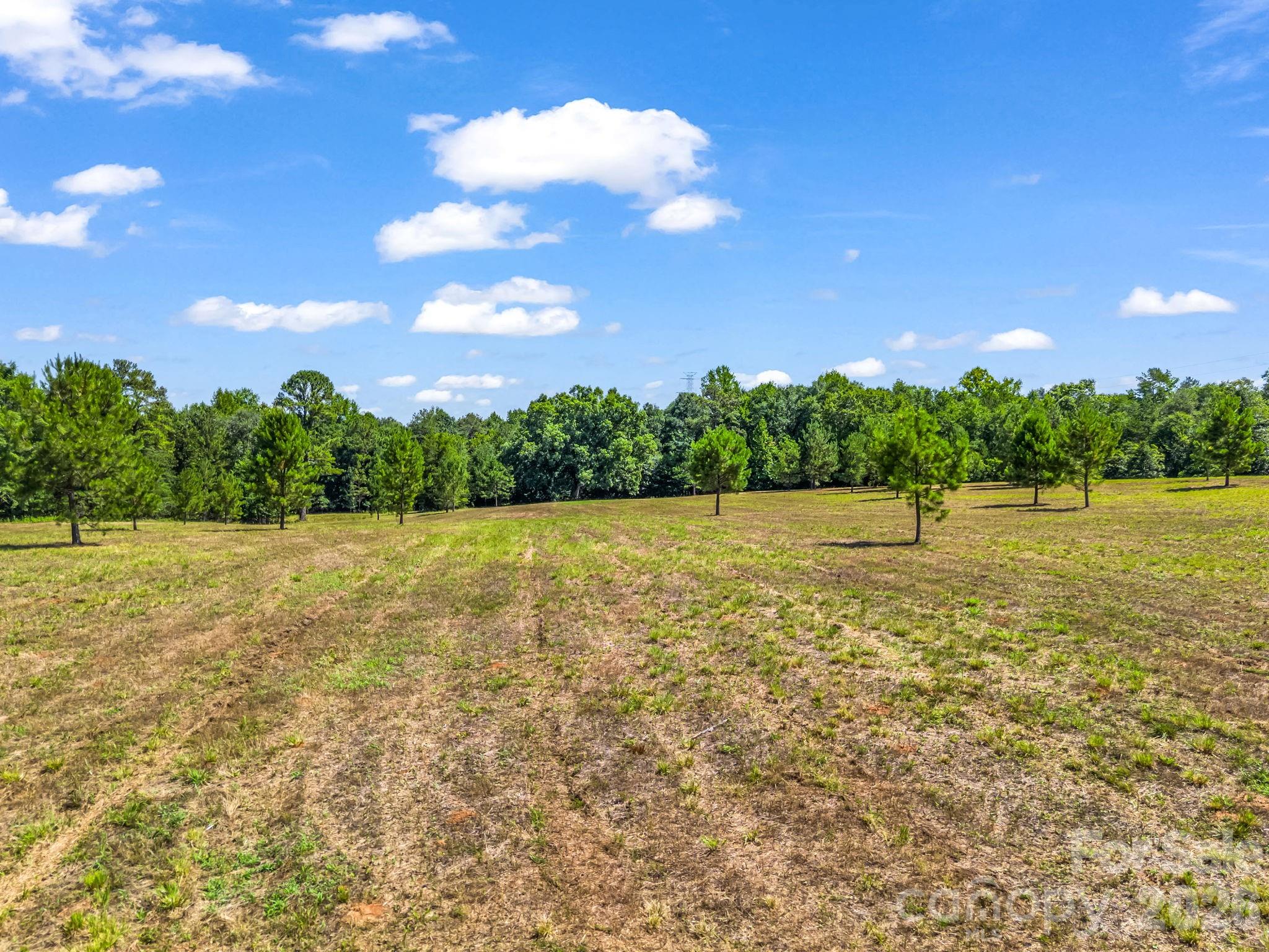 2854 Prospect Church Road Property Photo 25