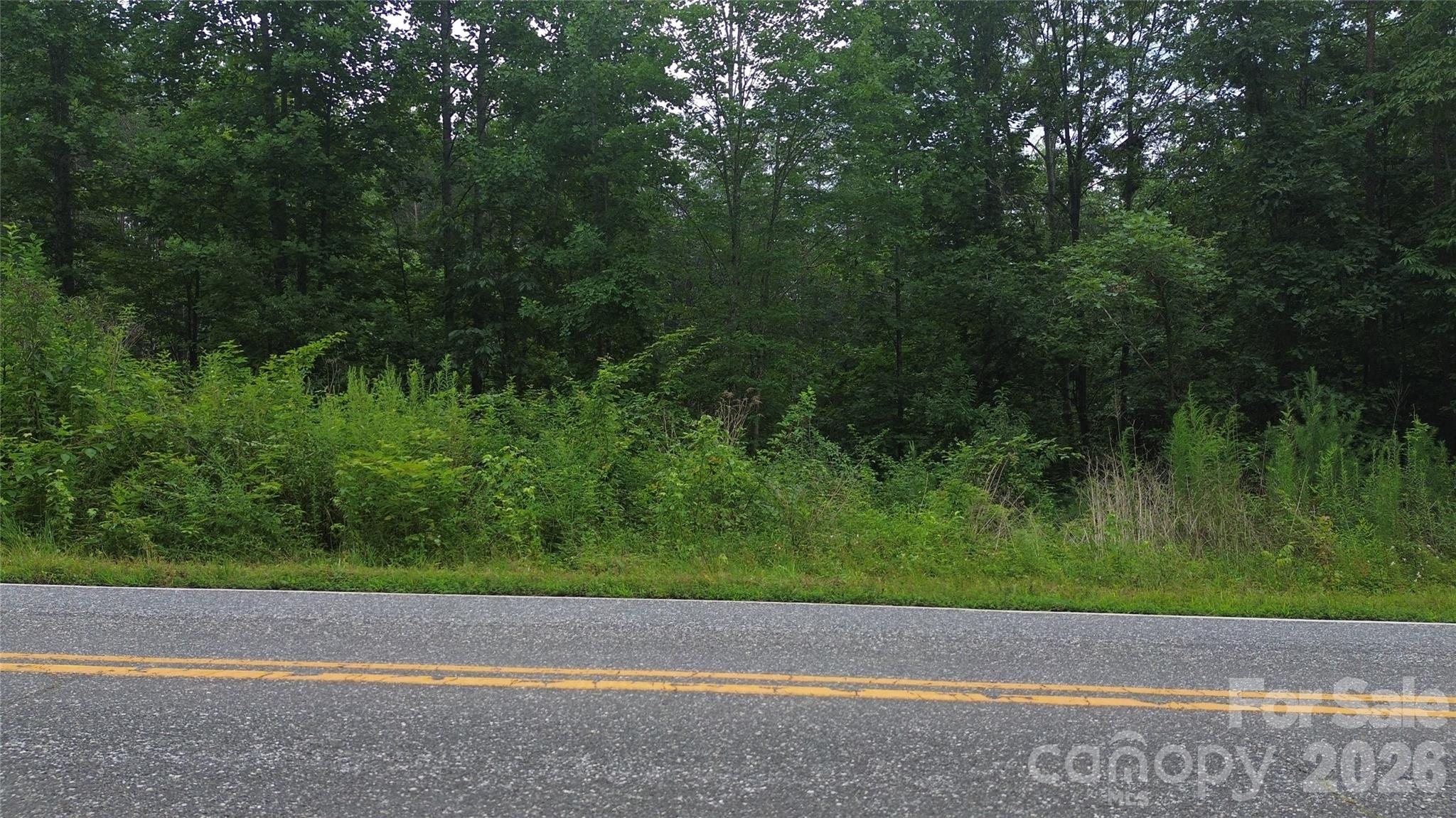 3804 Piedmont Road Property Photo 4
