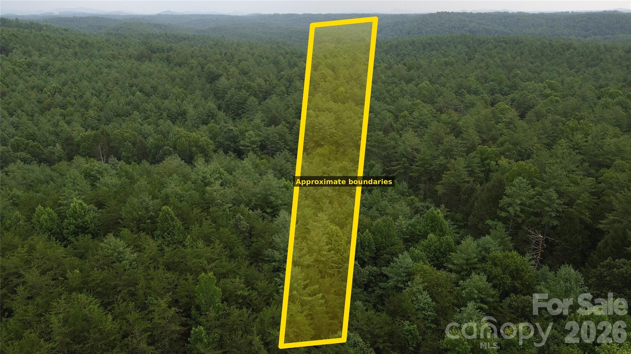 3804 Piedmont Road Property Photo 6