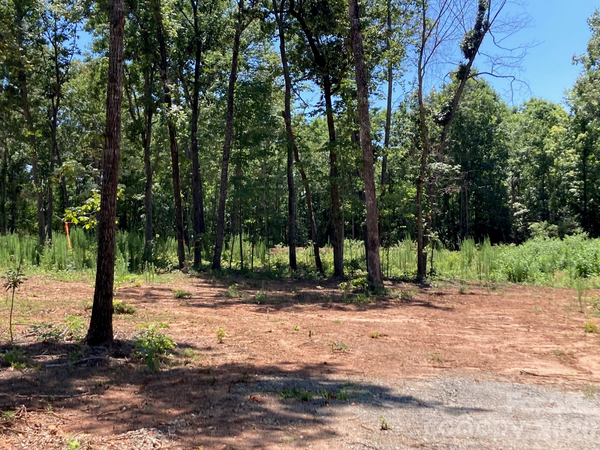 159 Evenfall Lane 1, 2 (~4 Acres) Property Photo 37