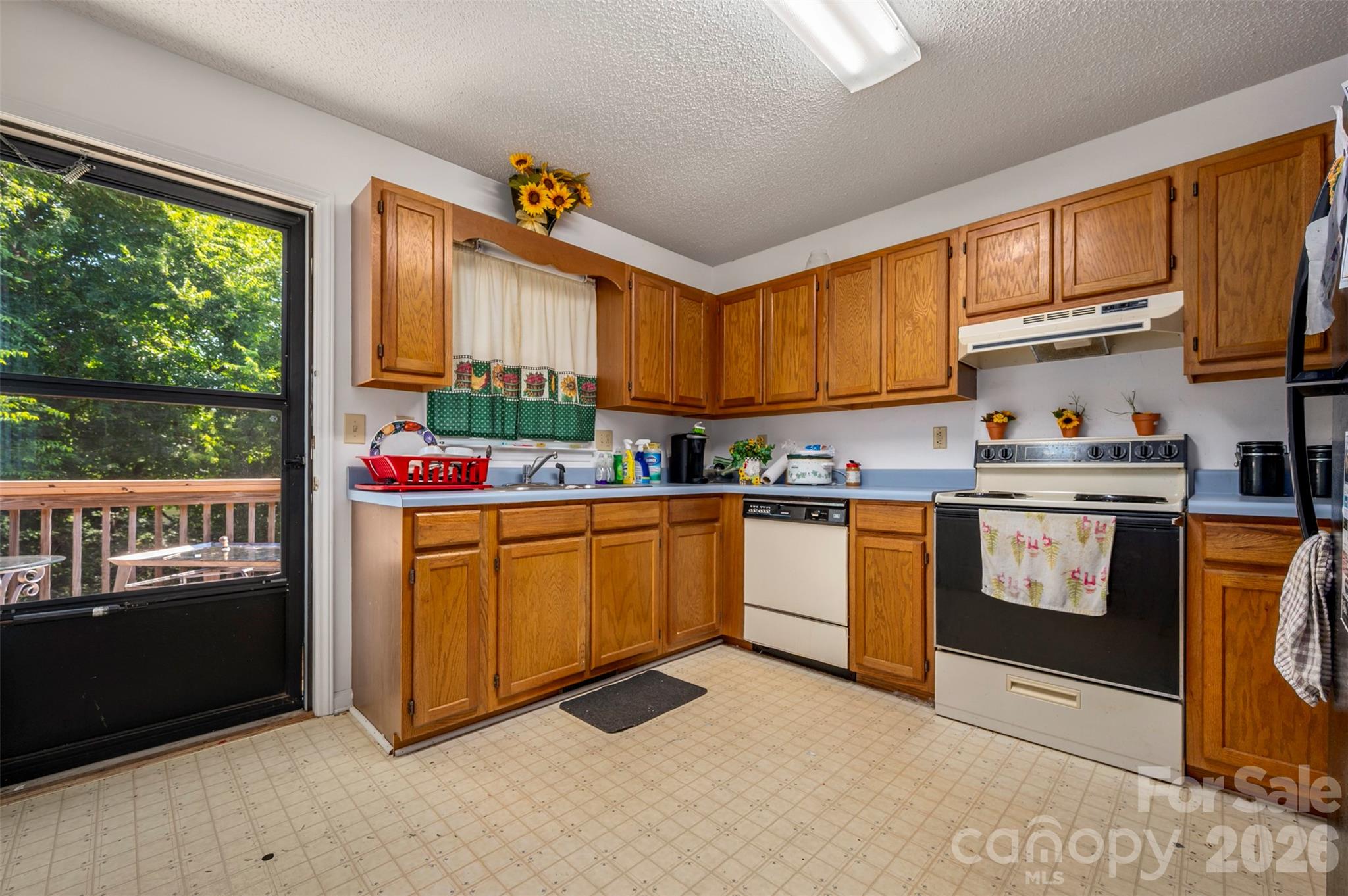 143 Big Springs Avenue Property Photo 19