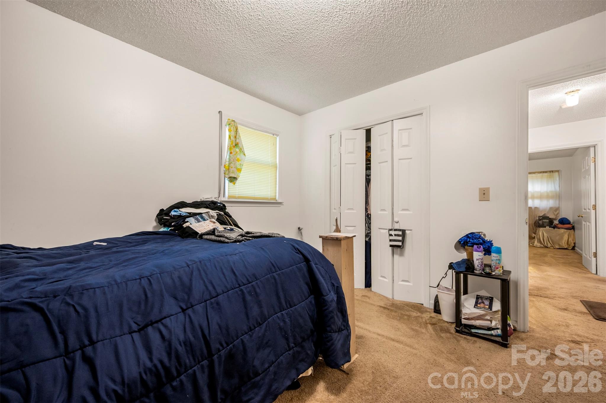 143 Big Springs Avenue Property Photo 21