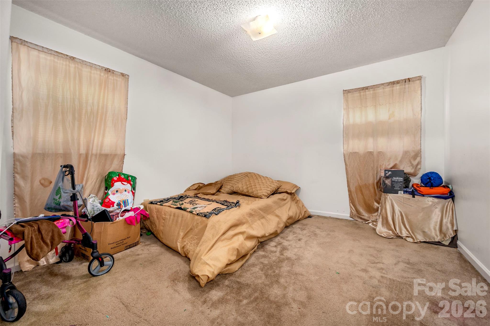 143 Big Springs Avenue Property Photo 23