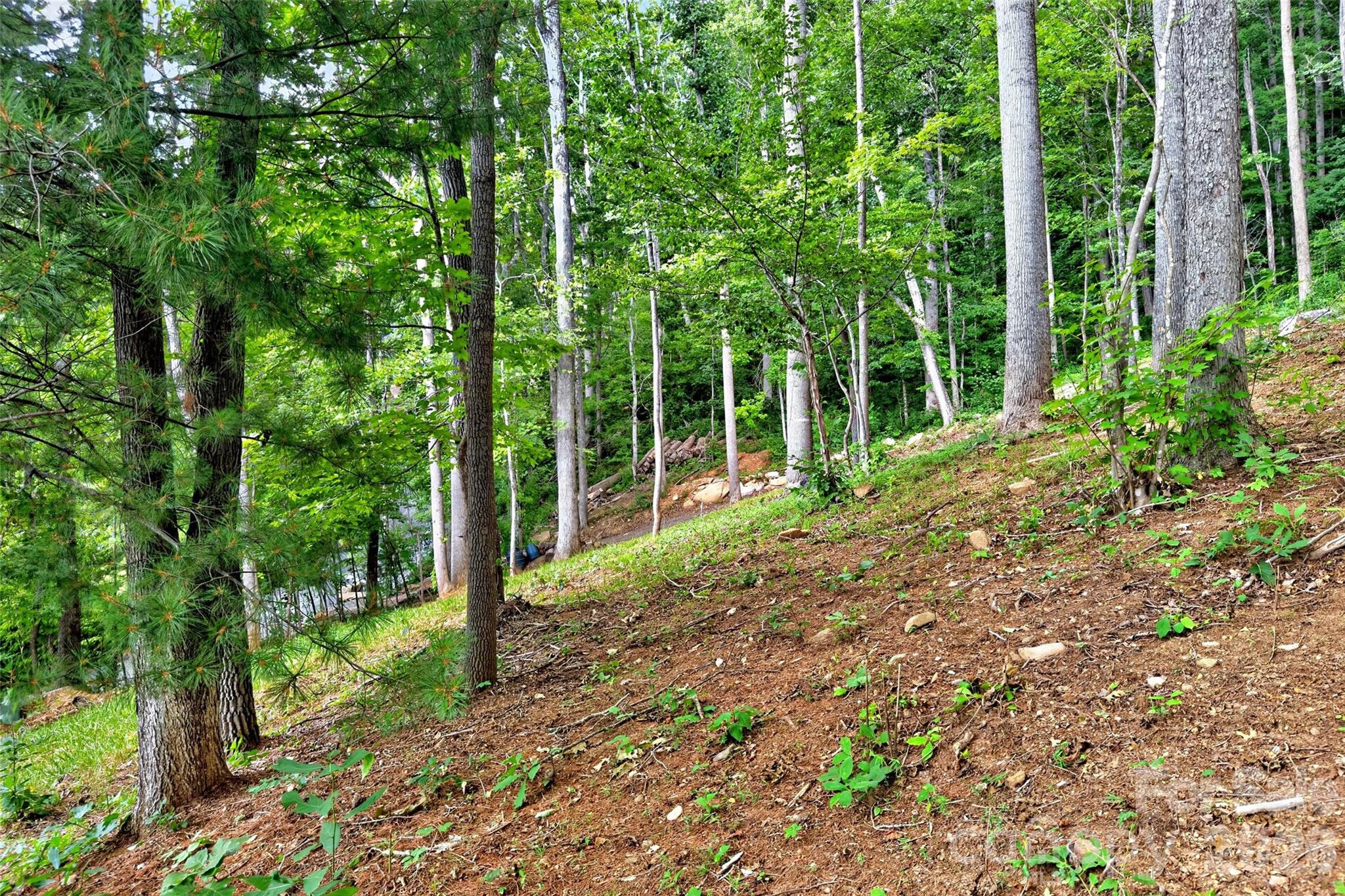 16 Nellie Bell Lane Property Photo 13