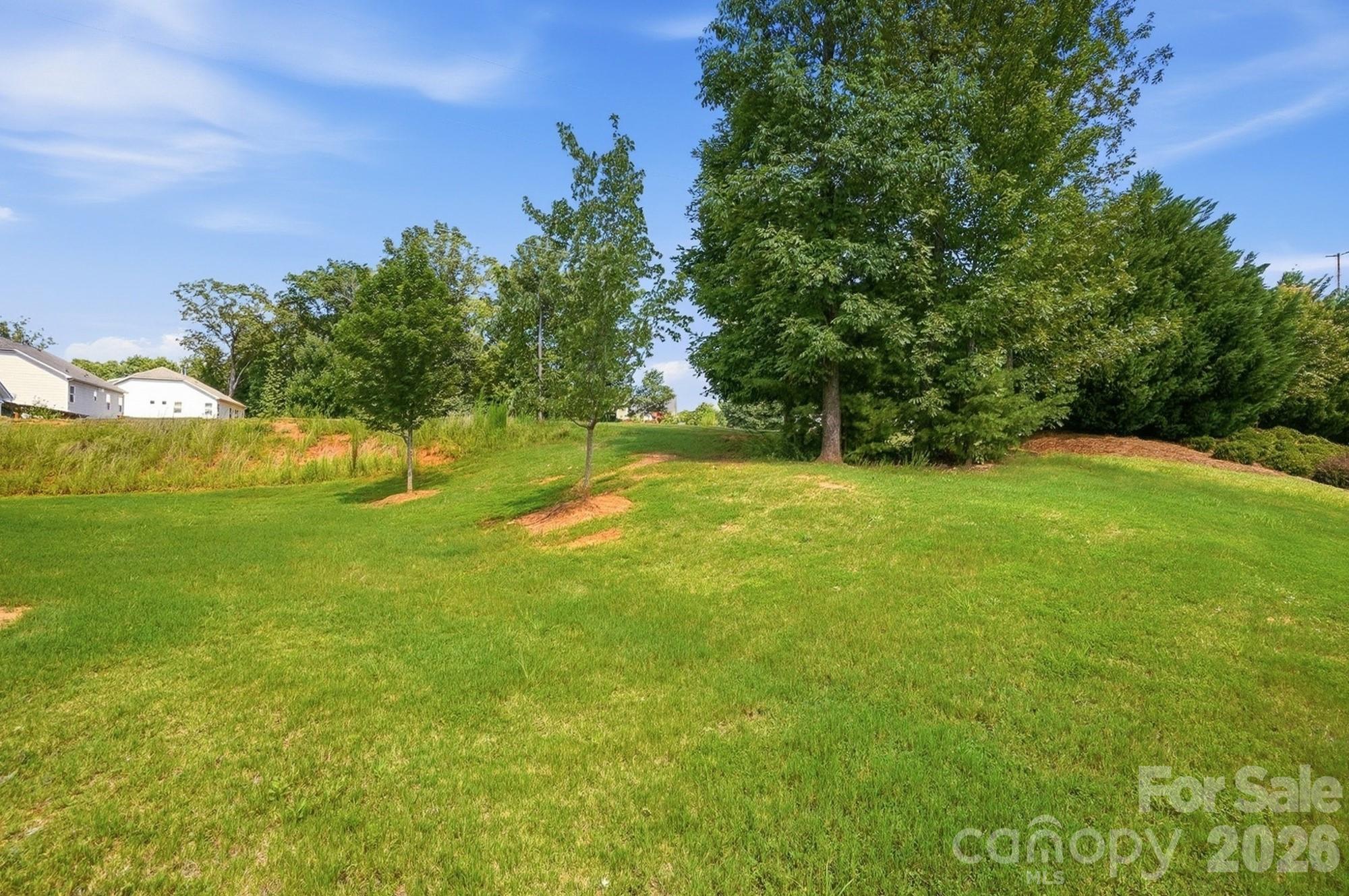 1100 Morning View Drive Property Photo 39