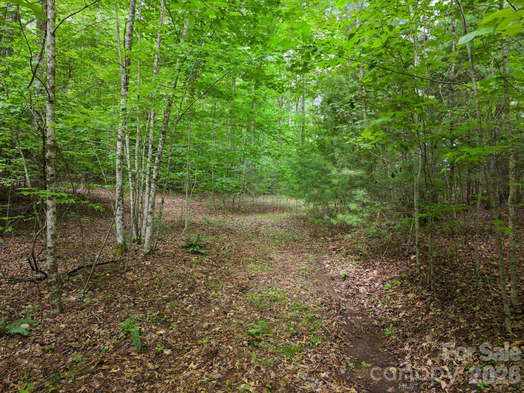 1408 Tellico Road Property Photo 4