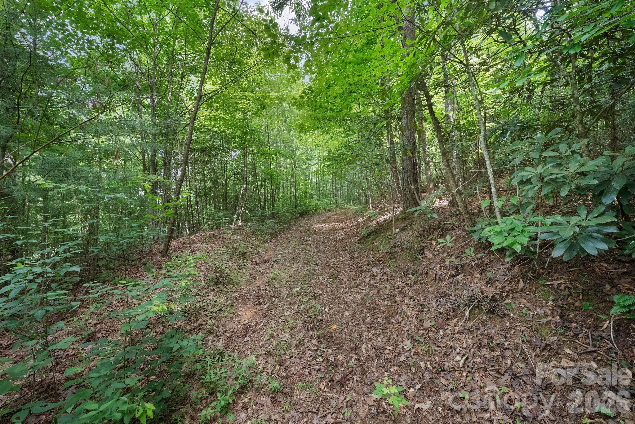 1408 Tellico Road Property Photo 22