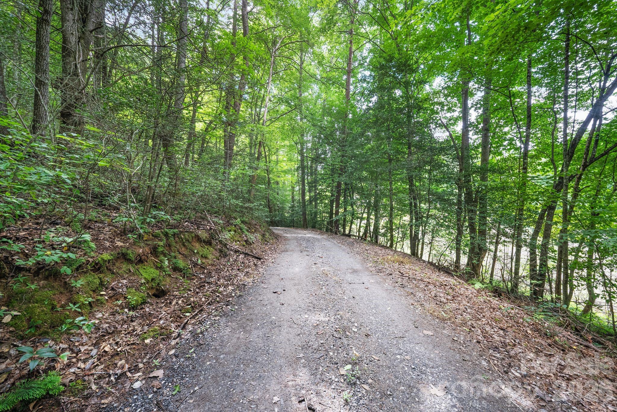 00 Tellico Road Property Photo 15