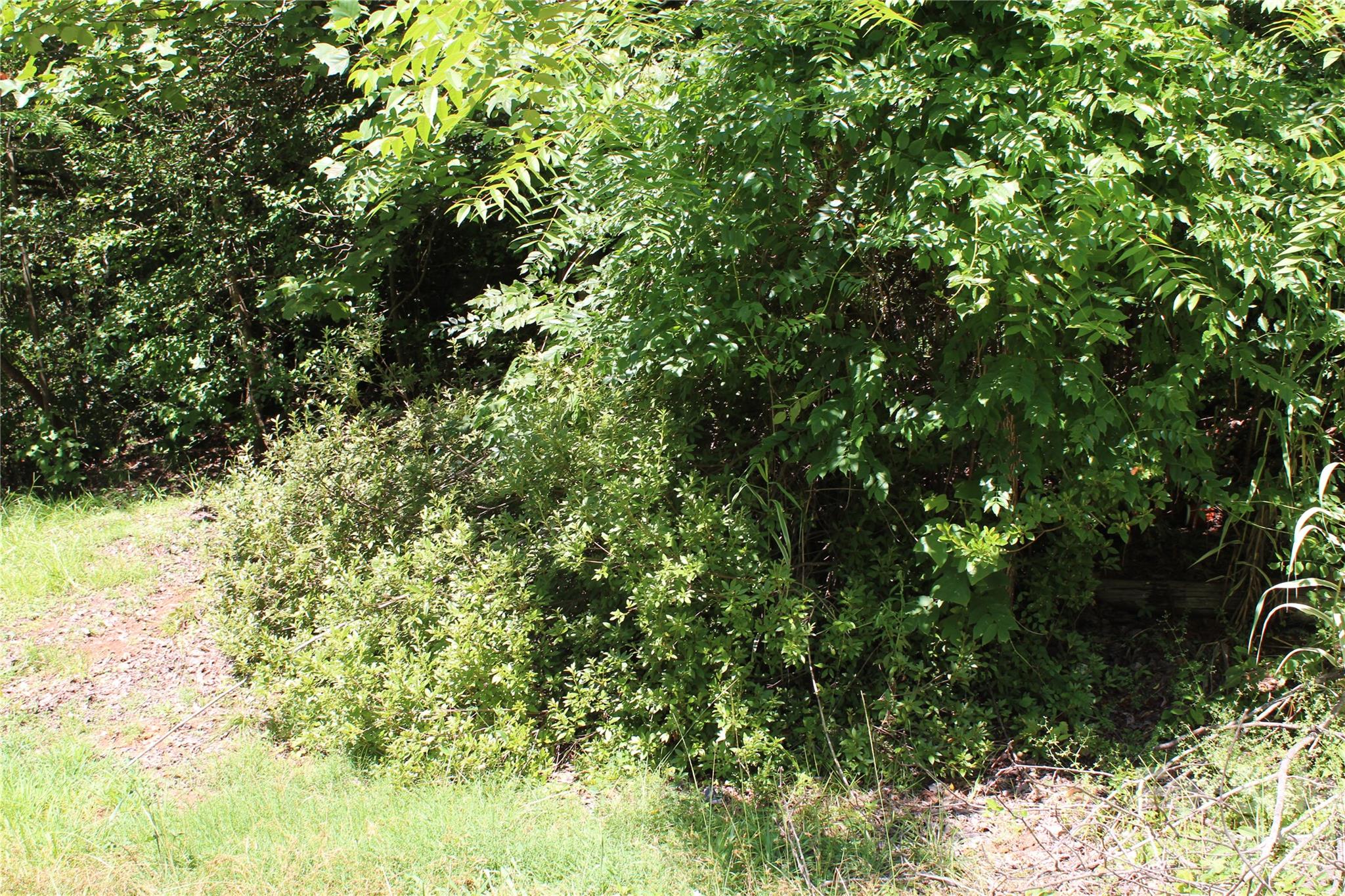 3041 Bills Creek Road Property Photo 1