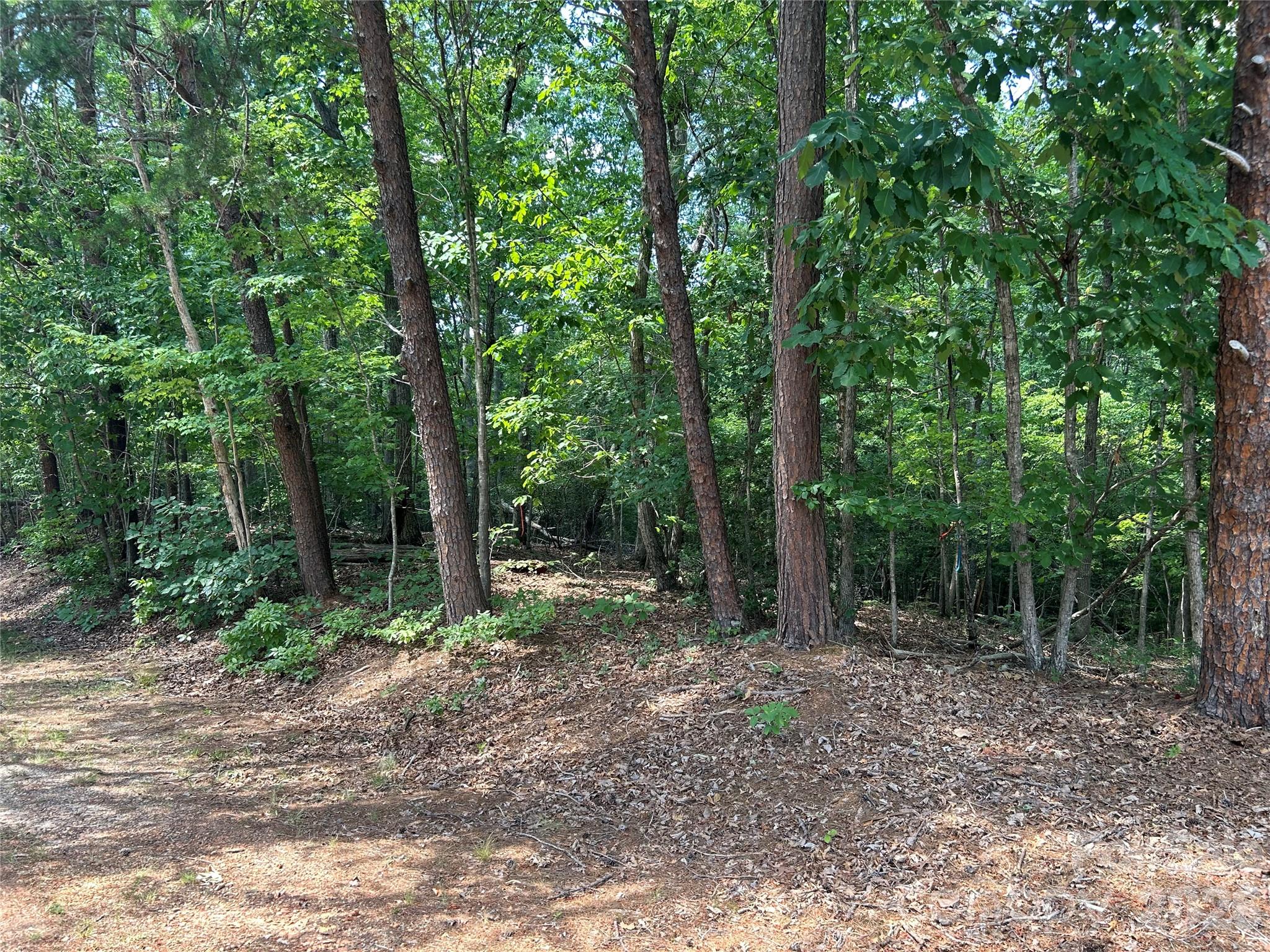 111 Peach Drive 333 Property Photo 1